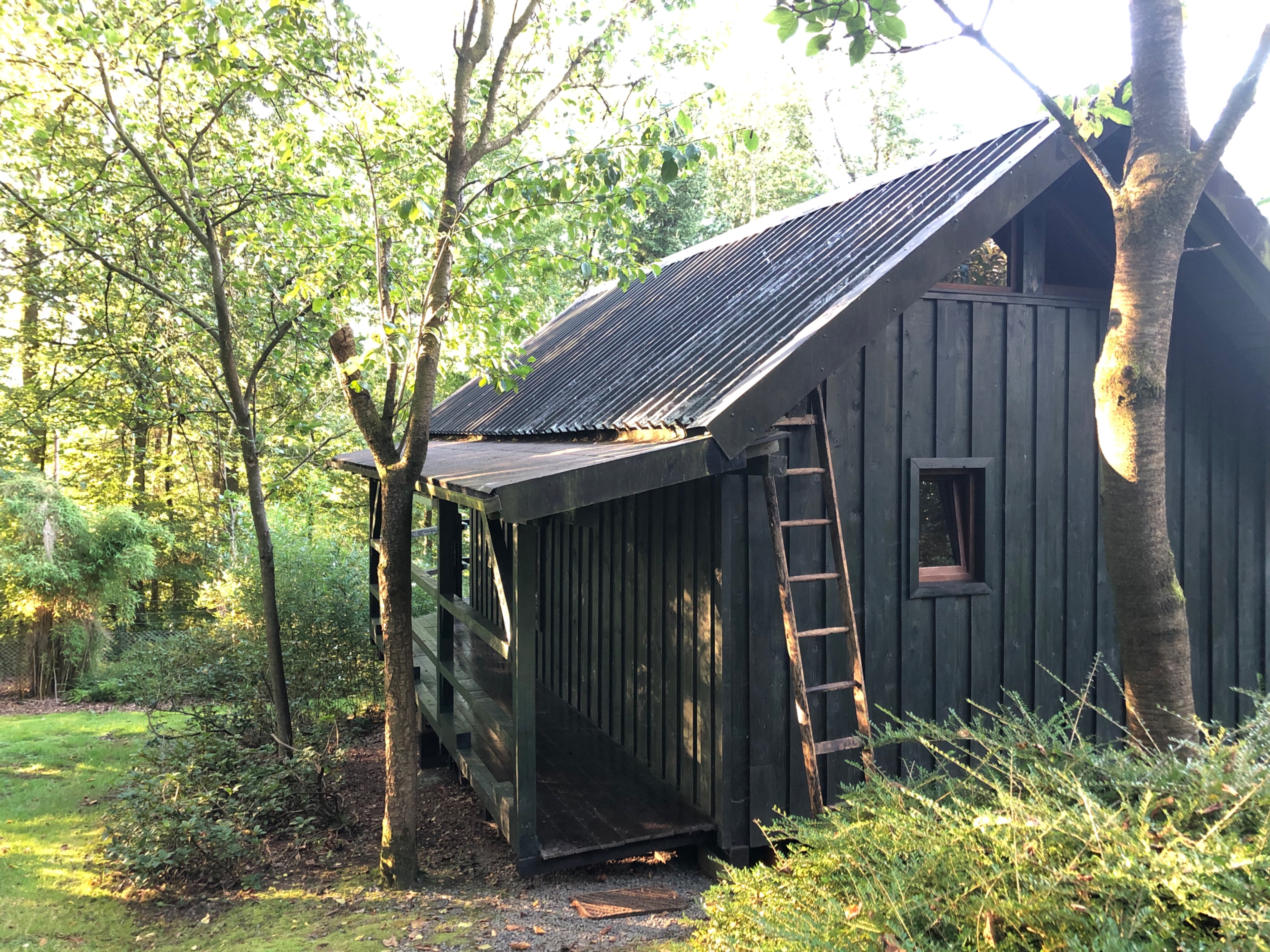 The forest retreat im Westerwald photo 2