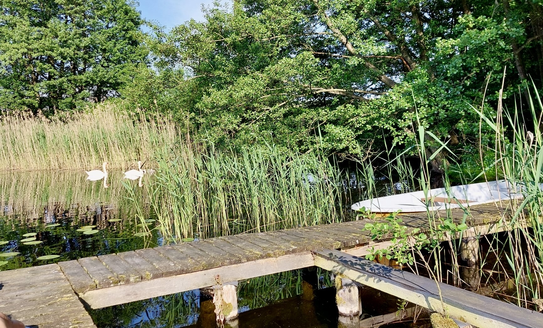 kleine Hütte - am Stellplatz Draußenglück - Photo 2