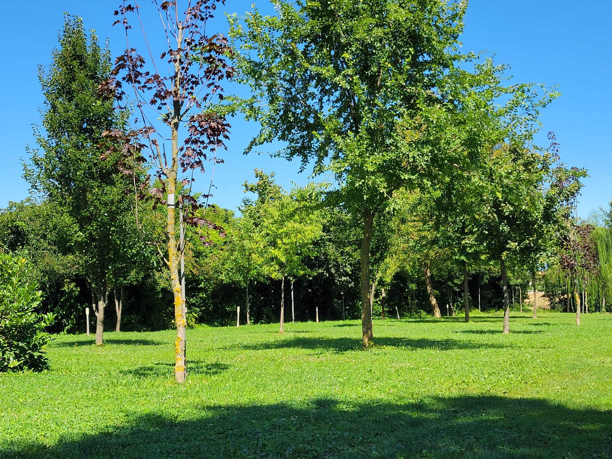 Agricampeggio Pini in Fiore photo 5