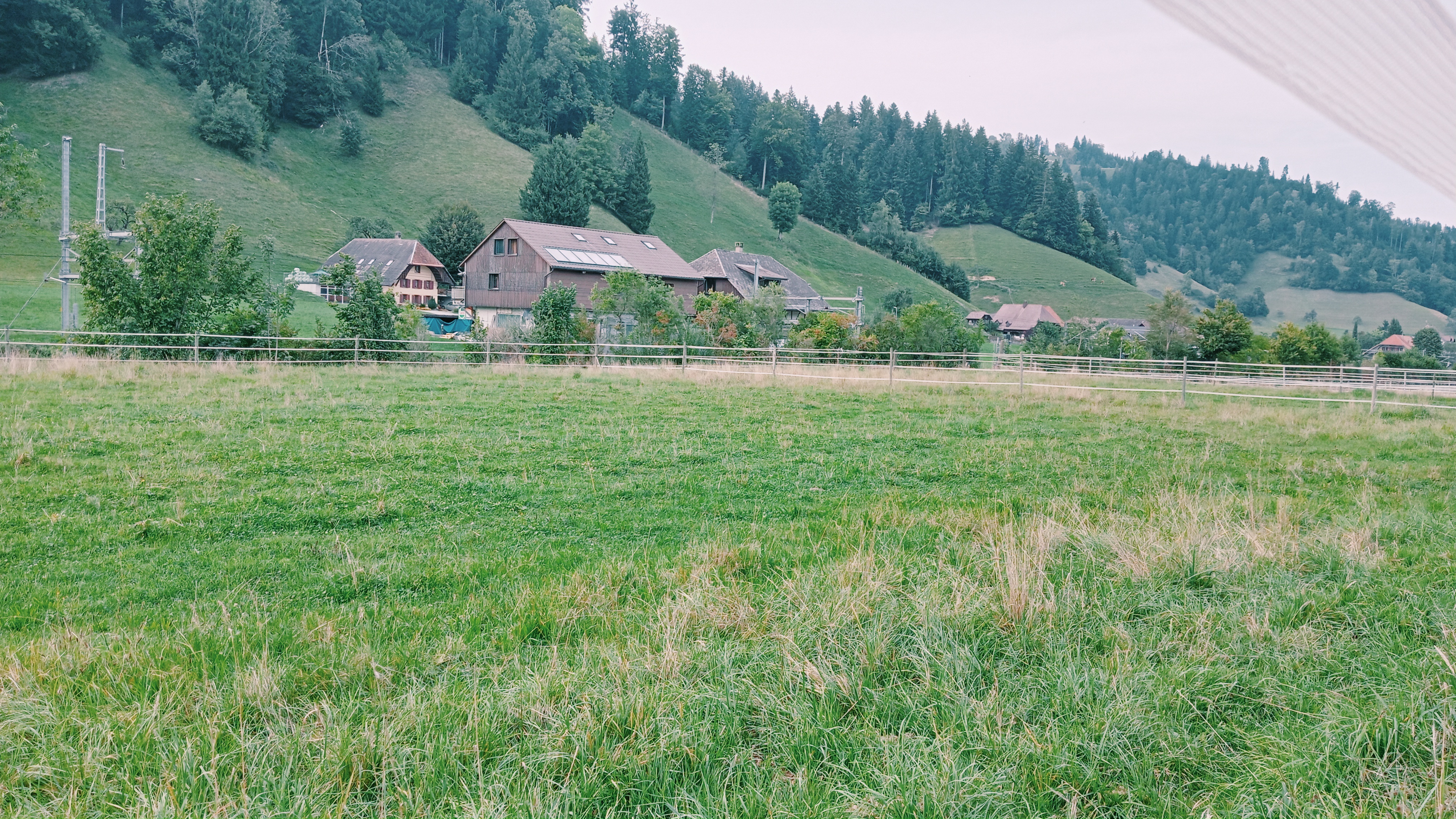 Pferdehof photo 5
