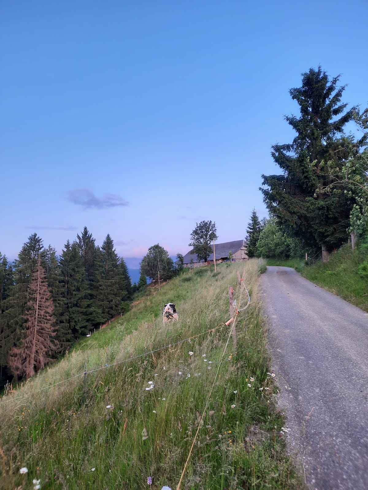 Alp Camp Balmegg photo 4
