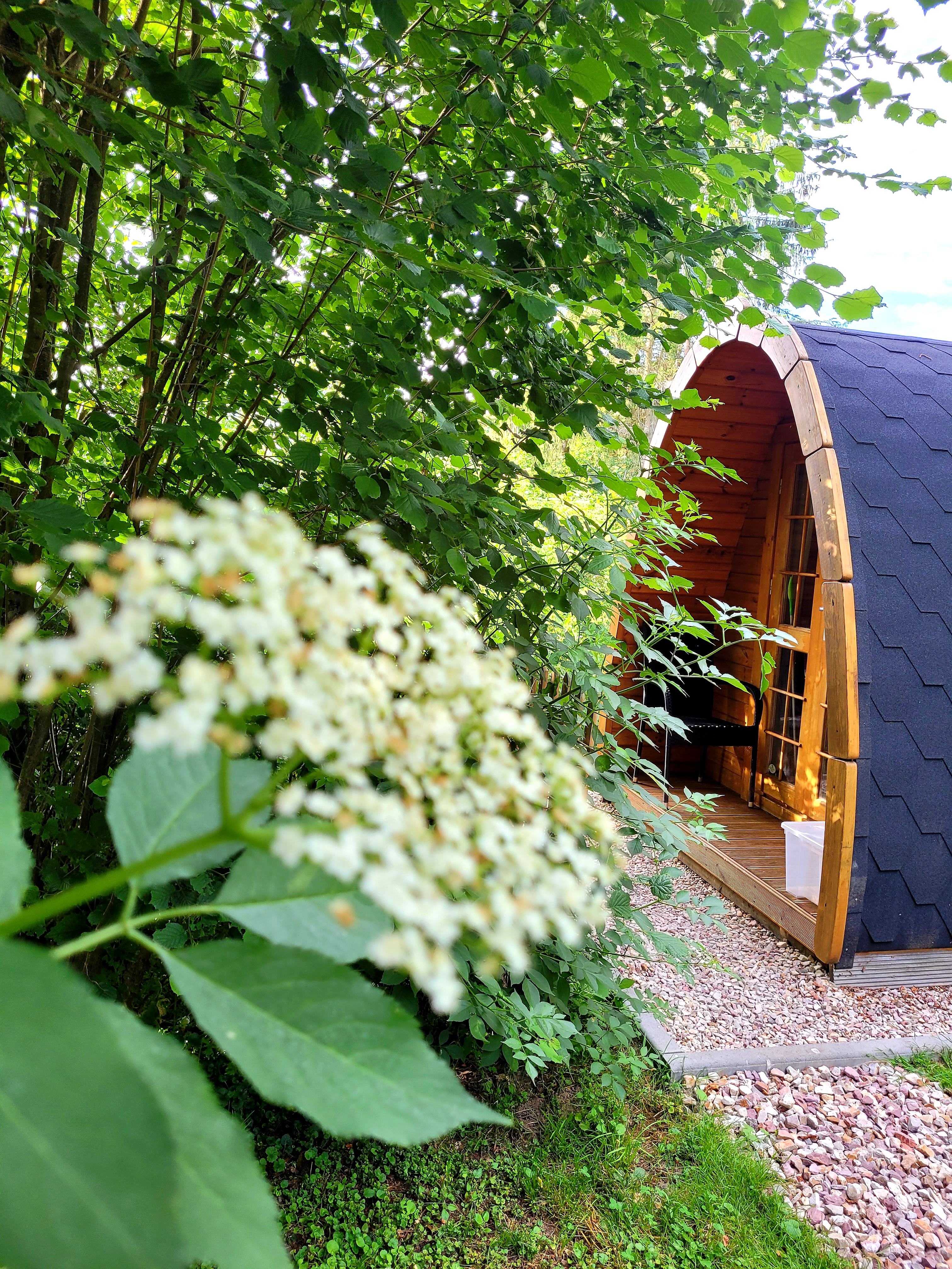 PODs 'Dachsbau' photo 4