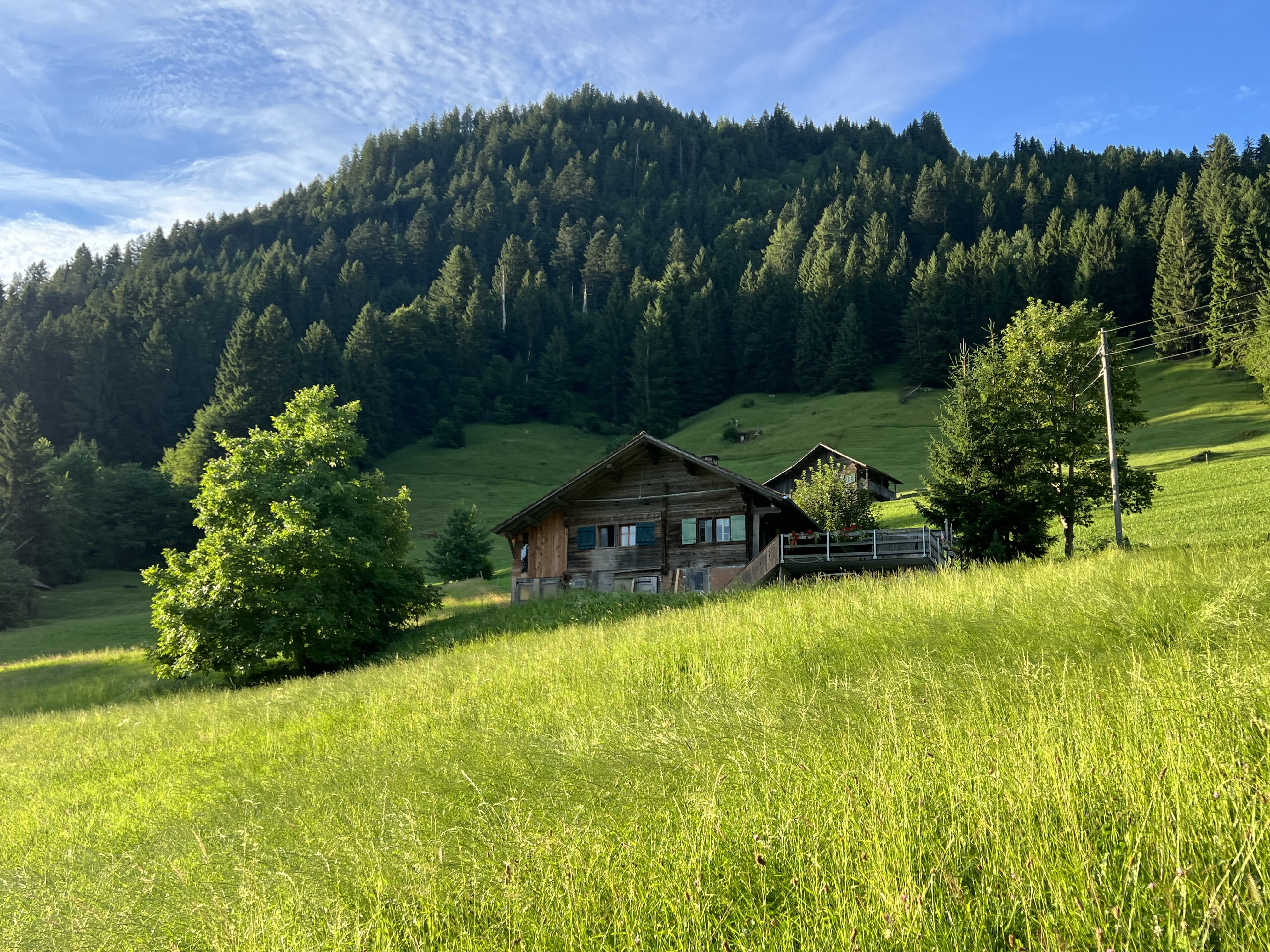 Swiss Mountain Experience photo 4