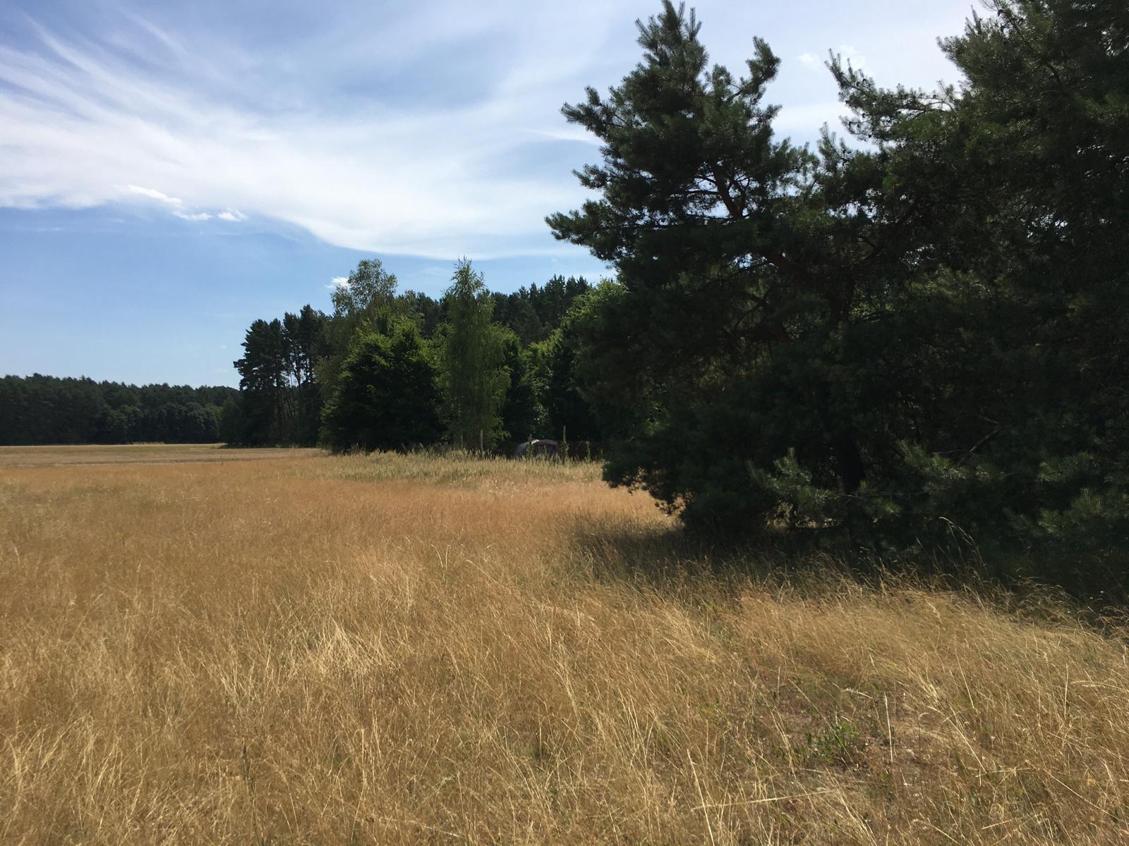 Stellplatz im Garten am Stadtrand von Müllrose photo 2