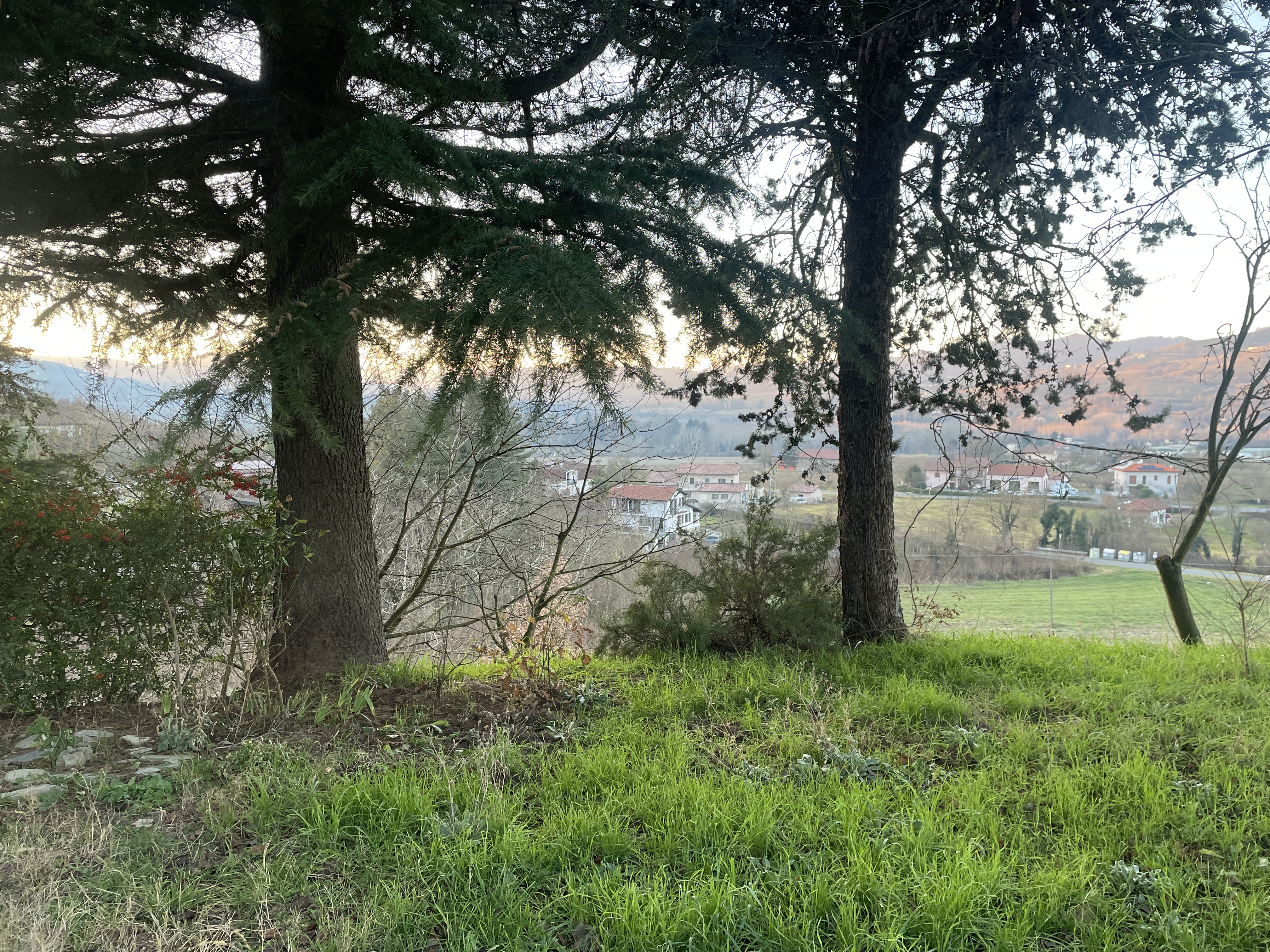 Vista Bormida photo 3