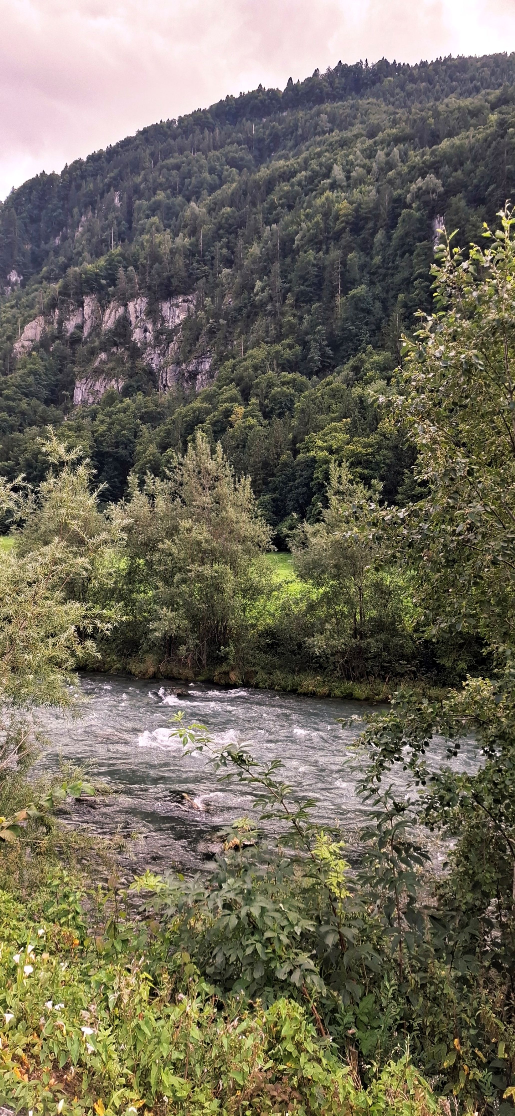 Camp Muota River photo 4
