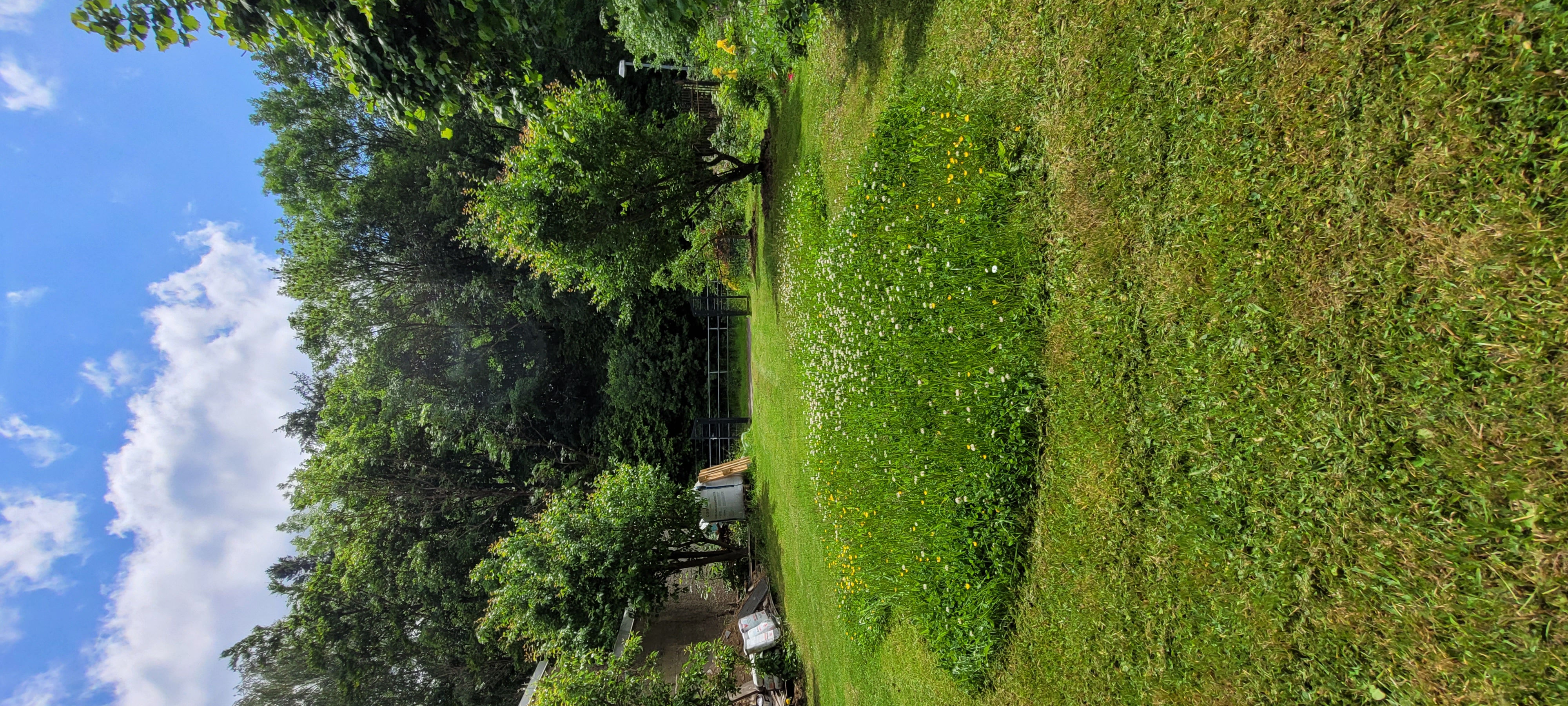 Platz im grünen Selketal photo 3