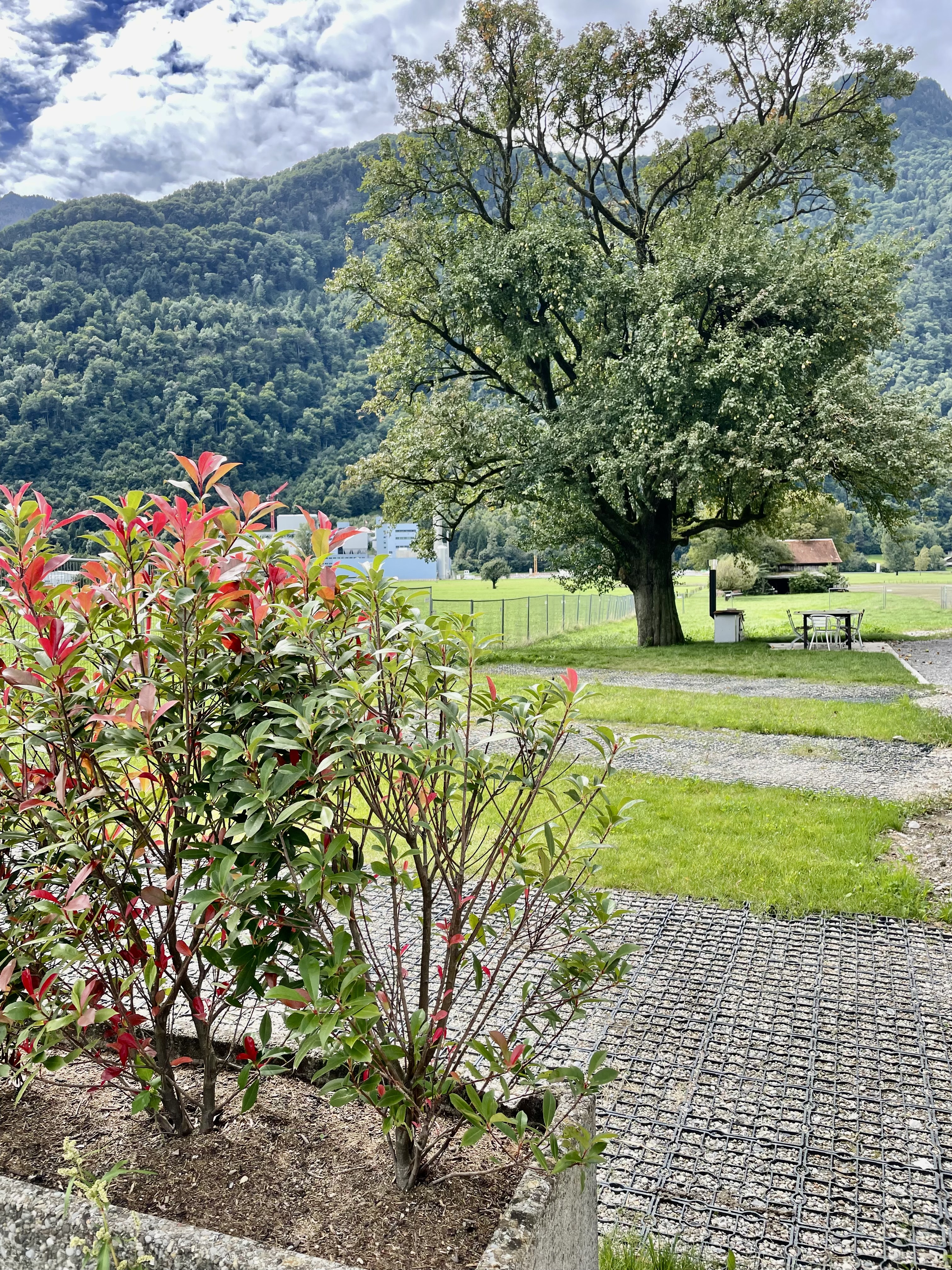 Camping auf dem Bauernhof im Glarnerland photo 4