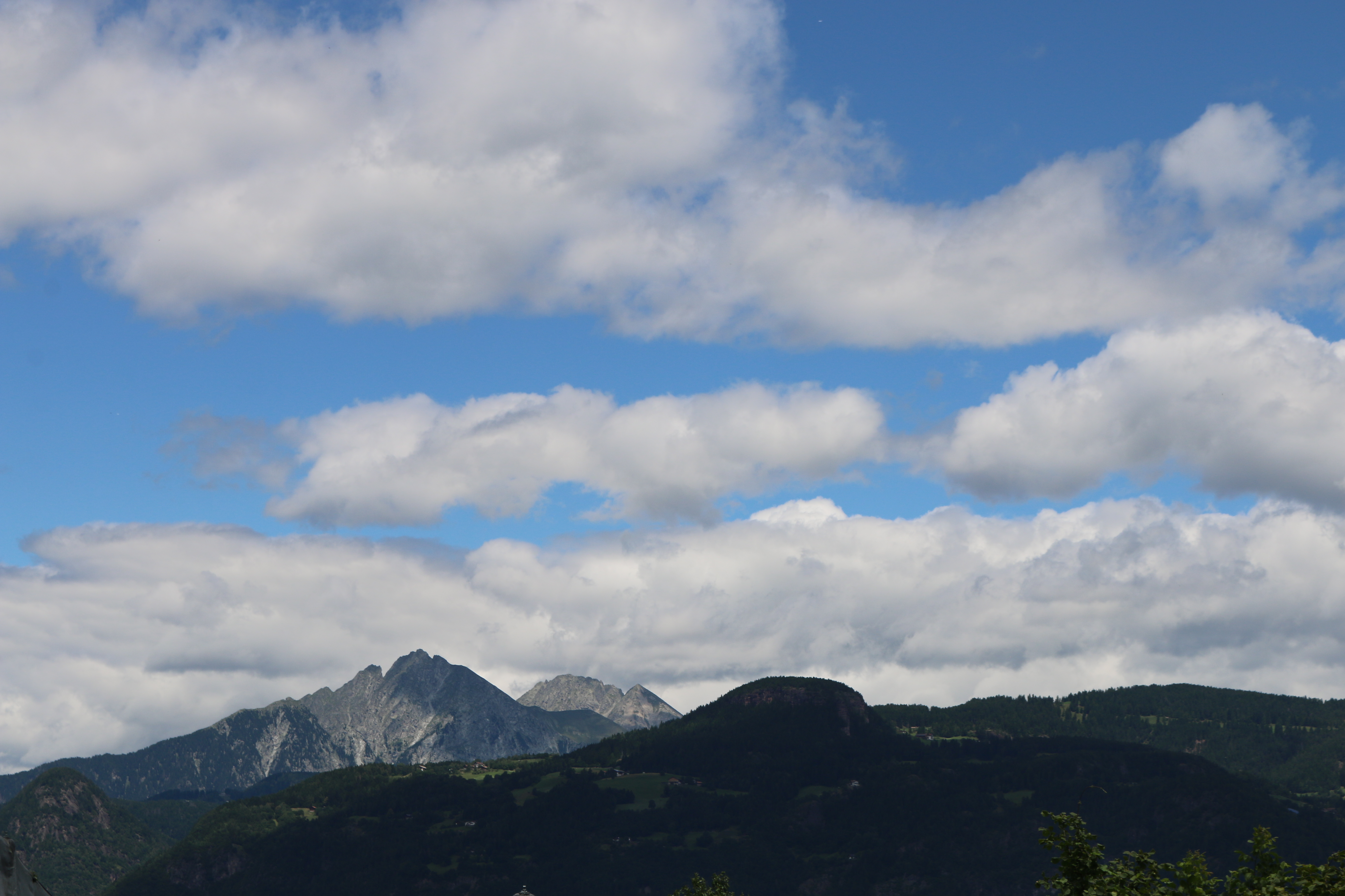 Wohl kleinste Streuobstwiese in Südtirol photo 3