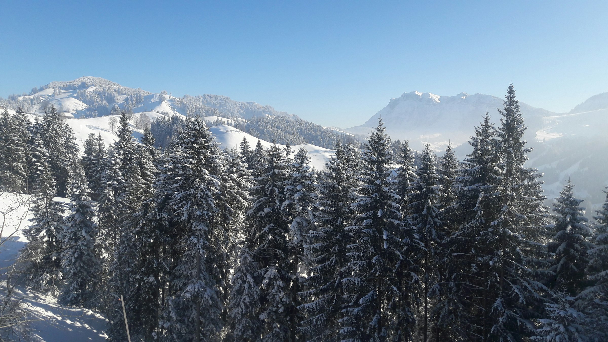 Auf dem Kräuterhof photo 2