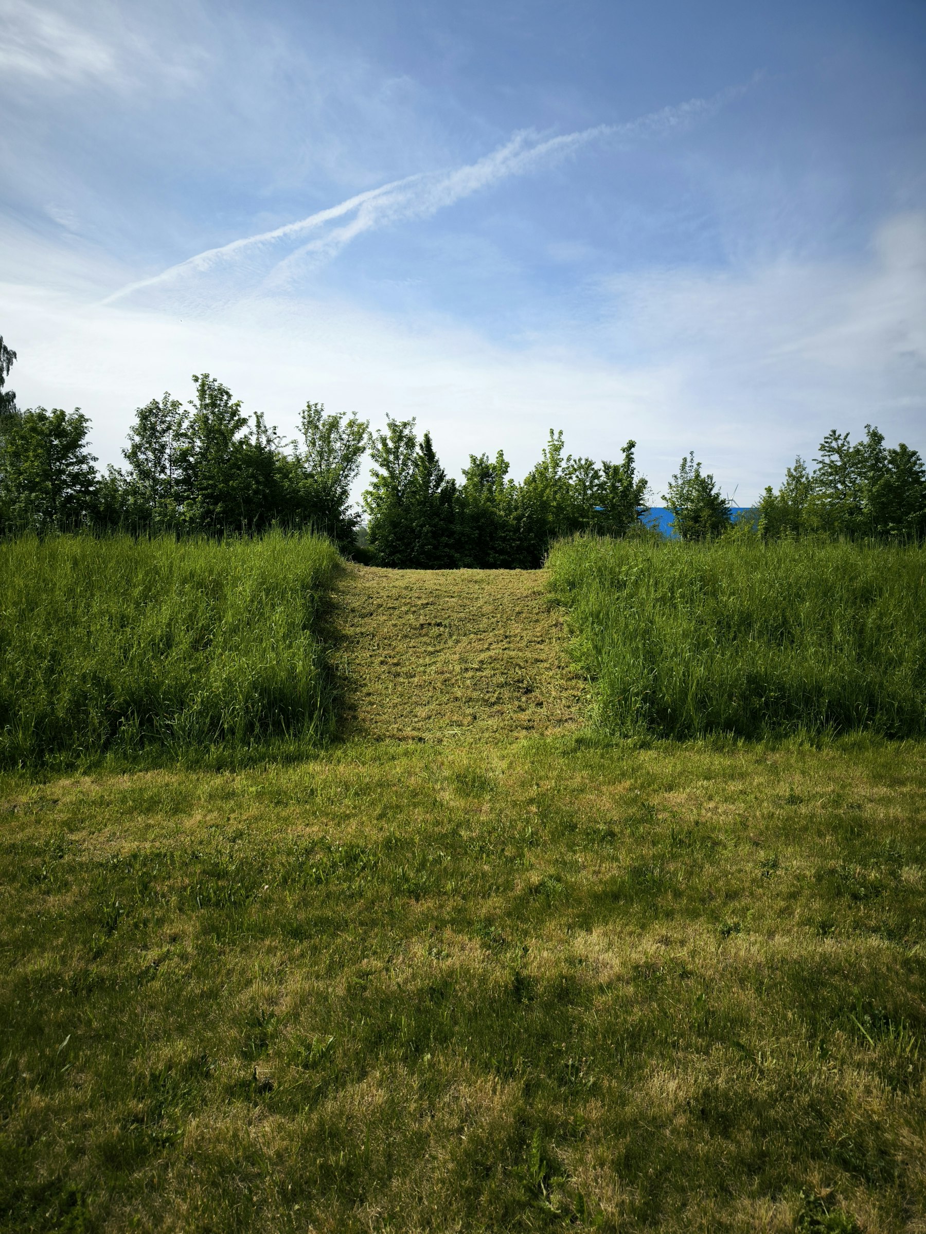 Camping am Berzdorfer See photo 4