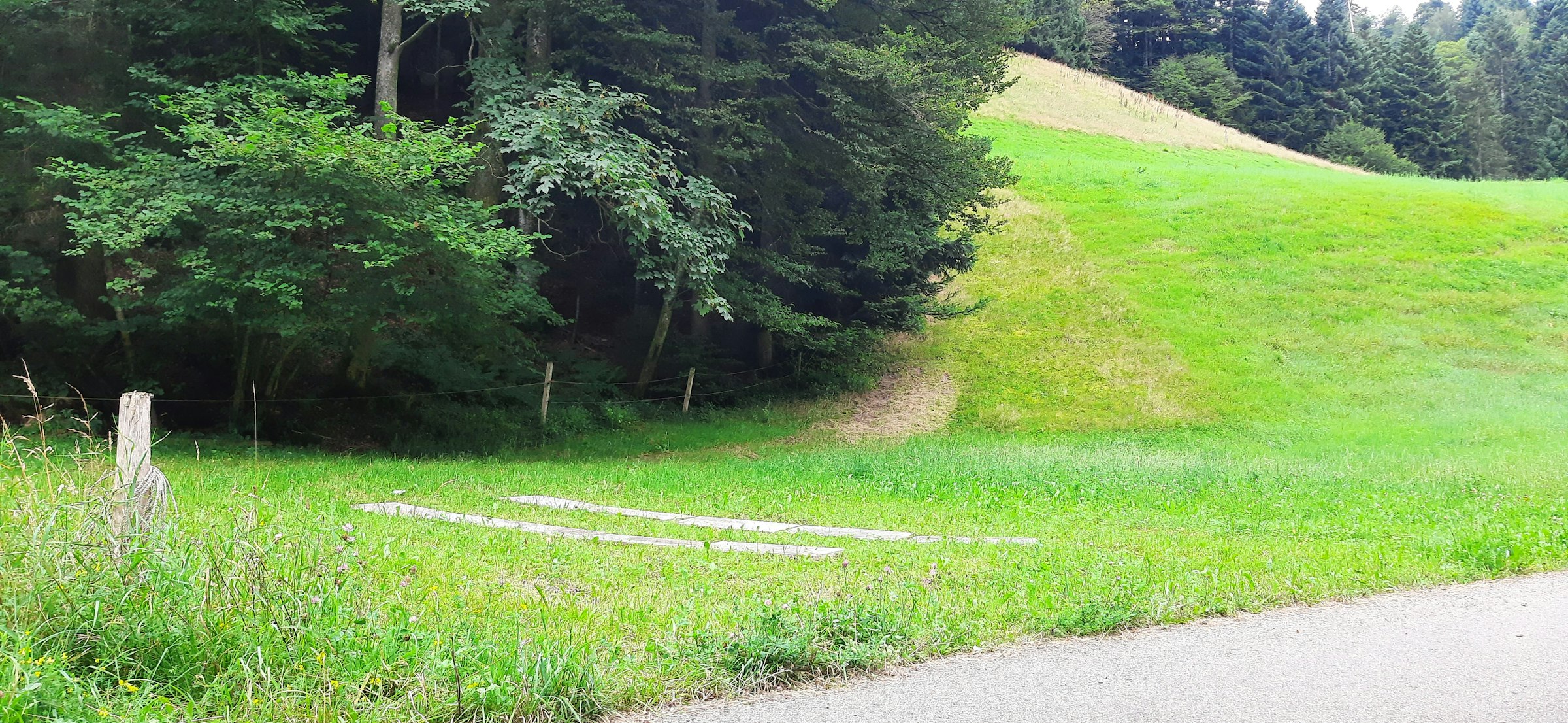 Sackgasse im Pulversack auf Biohof photo 2