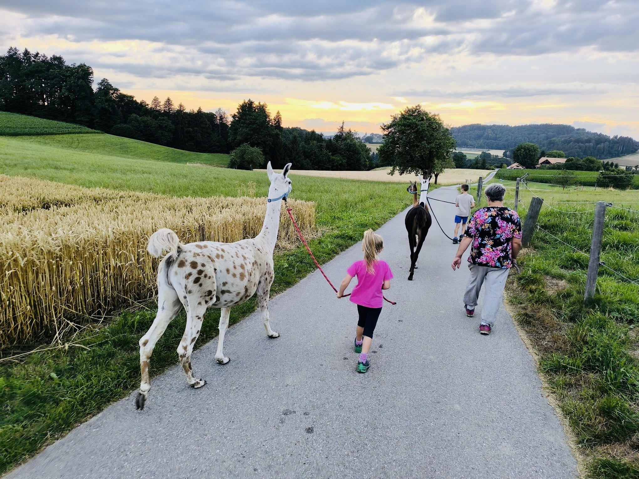 Bauernhof-Auszeit im Holzfass photo 5