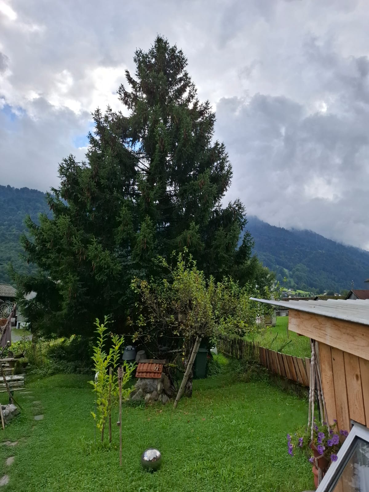 Liebevoll umgebautes Gartenhaus im Wanderparadies! photo 5