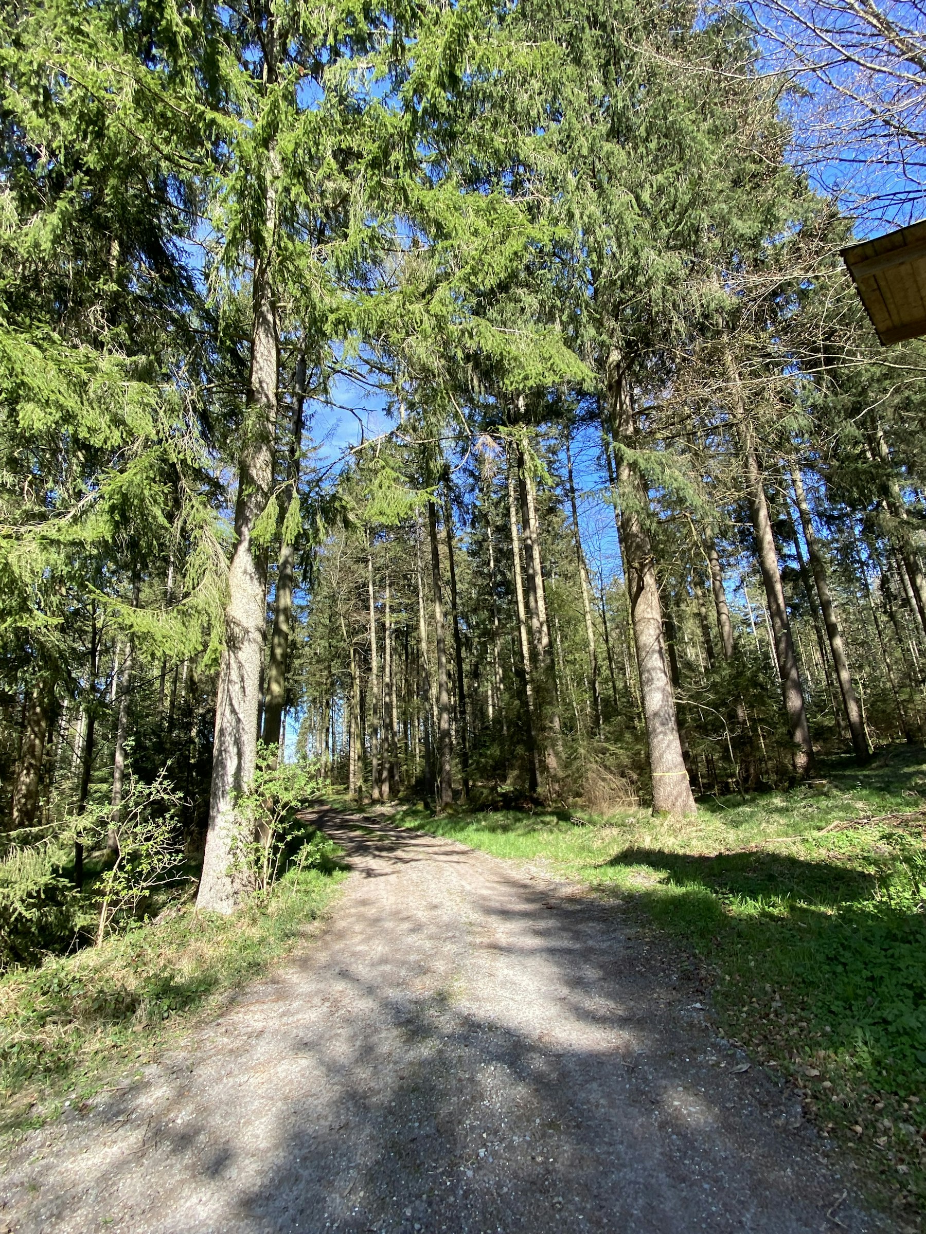 Wiese, Wald, Weitblick – Natur pur! photo 4