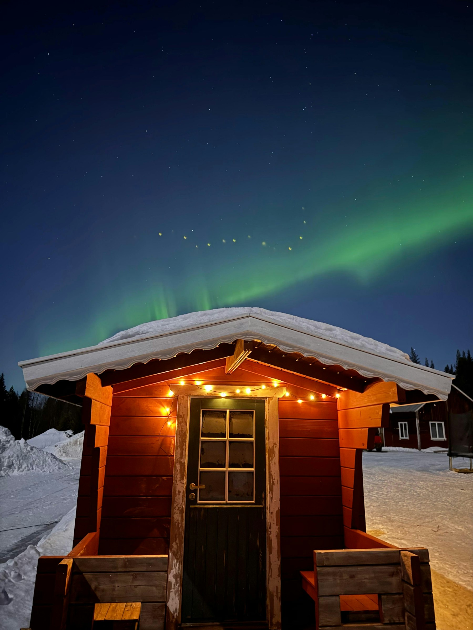 Echtes Lappland - im Wald & am See photo 2