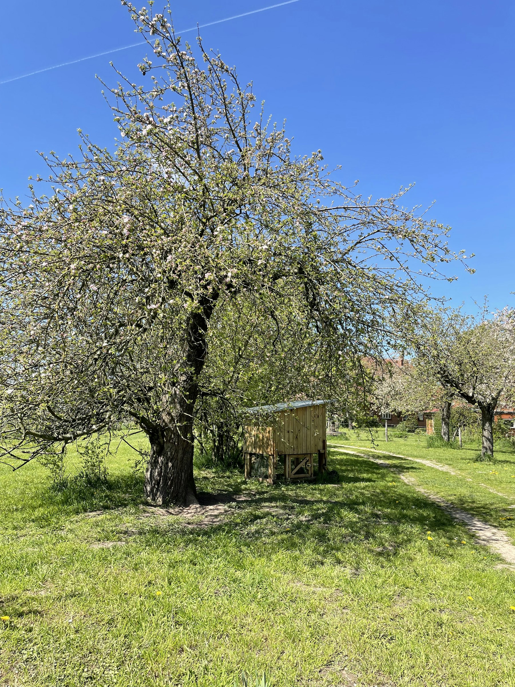 Archehof Wechold photo 3