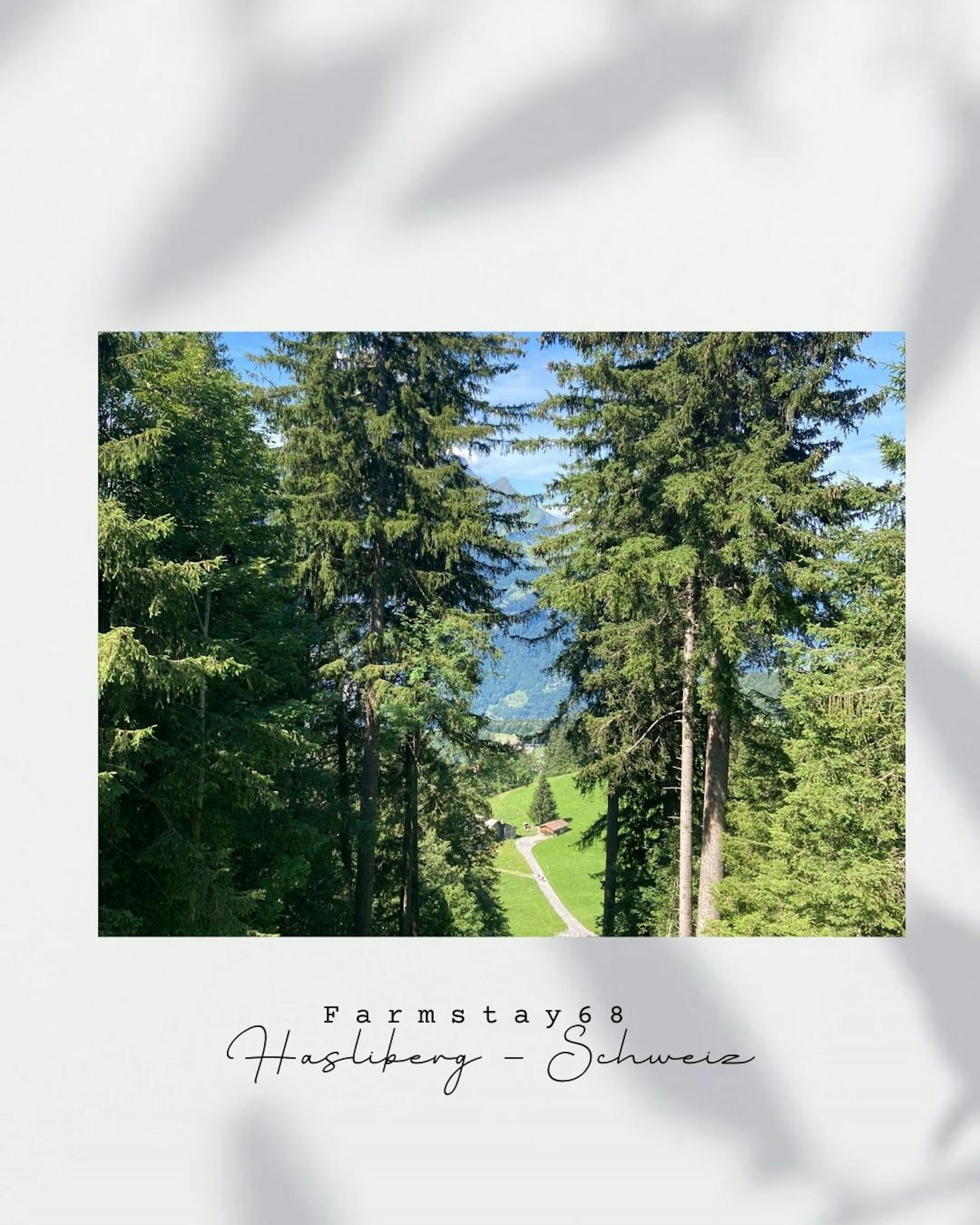Weidhaus Oberwald photo 4