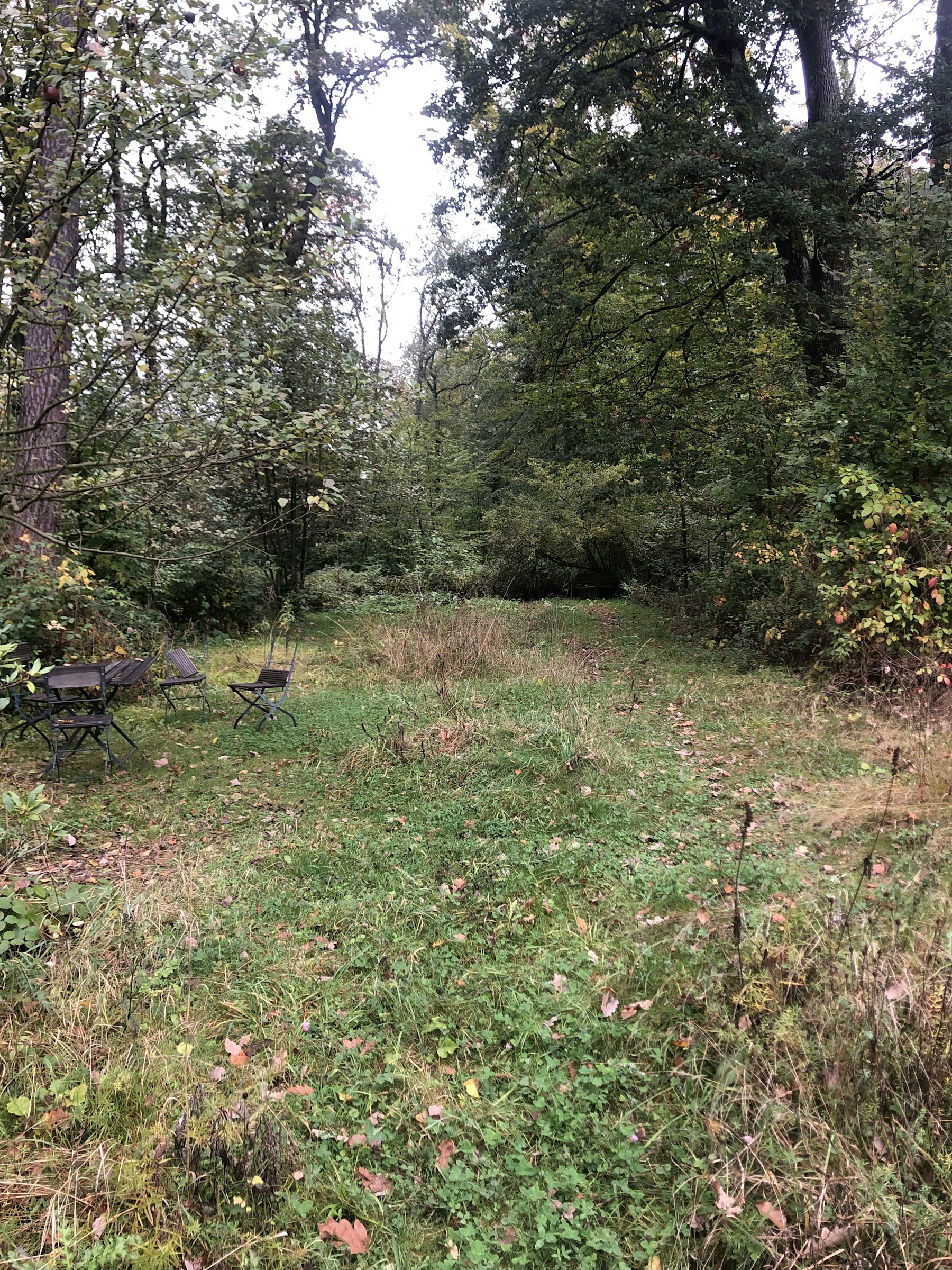 Haus Quelle Hinterhof im Taunuswald photo 4