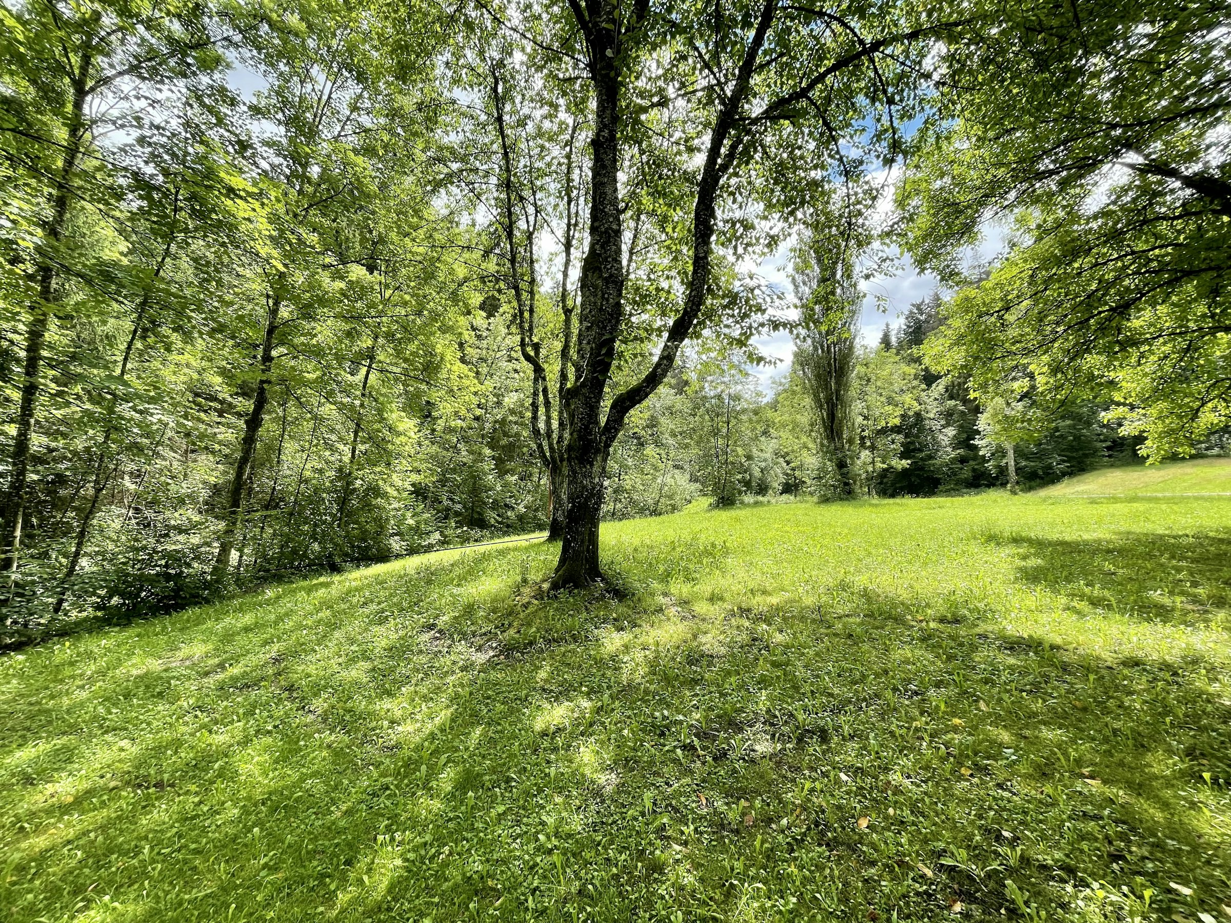 FriedtalZauber photo 5