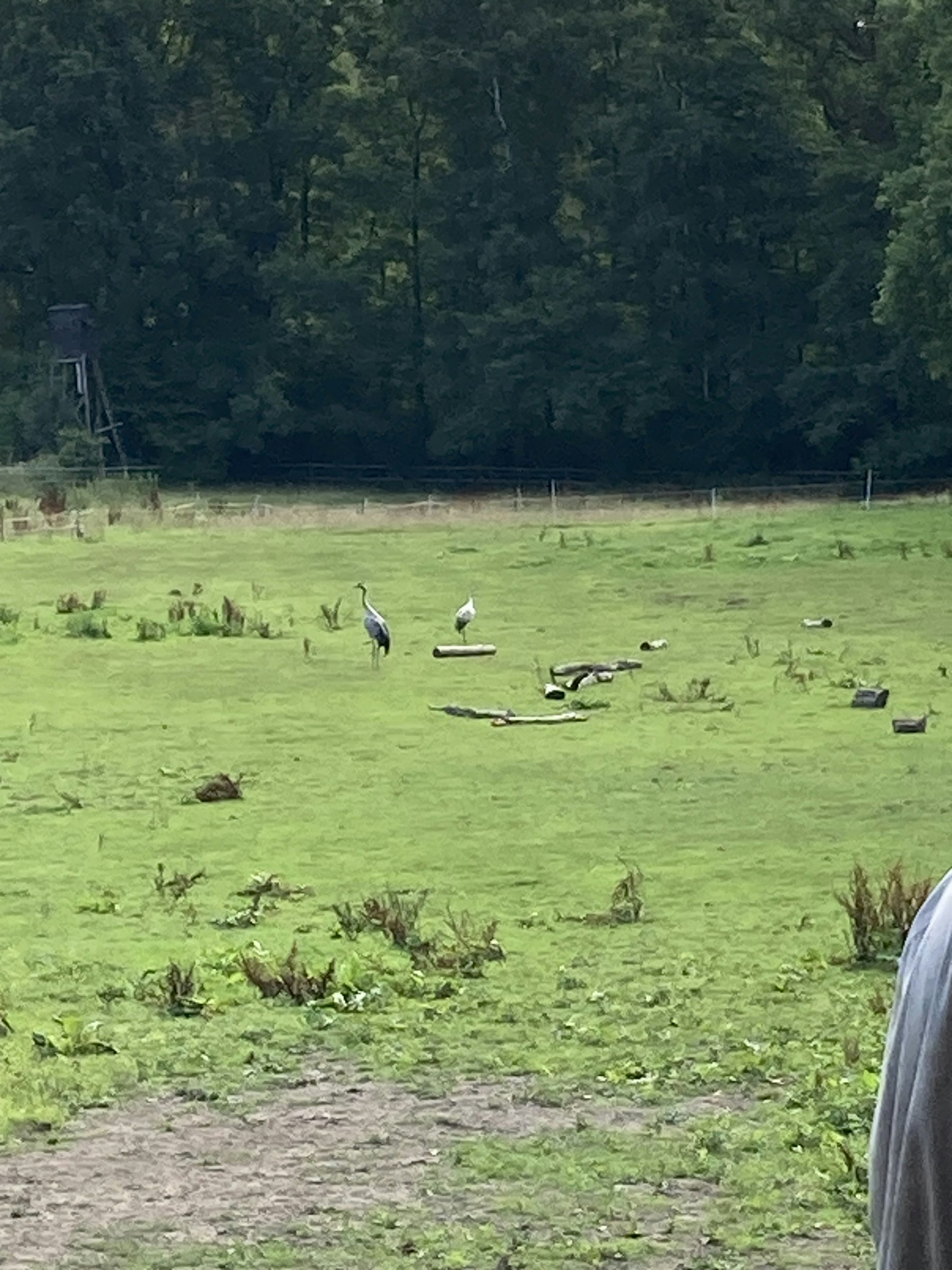 Erholung im Pferdeland photo 5