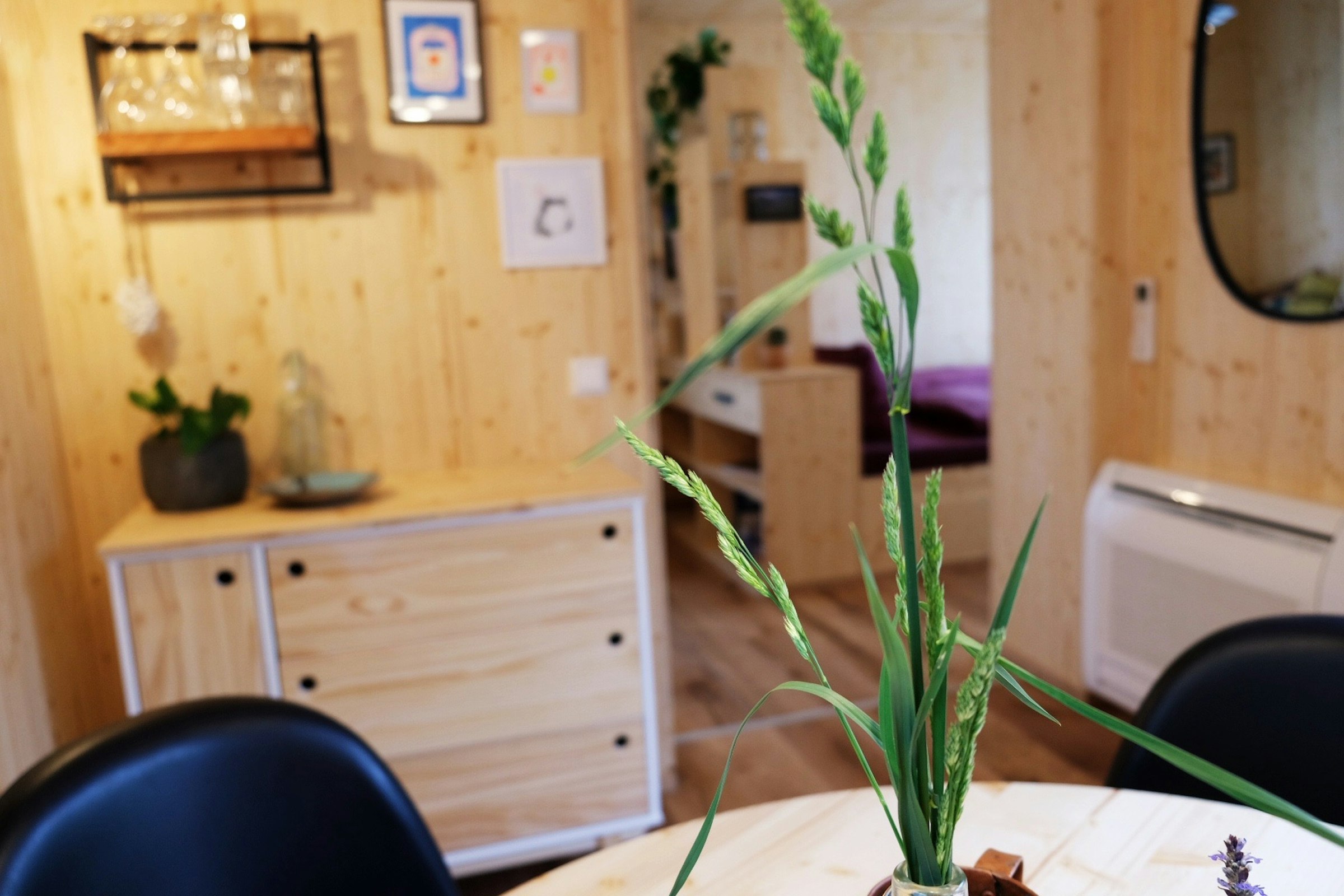 Grüne Oase - Tiny Home photo 2