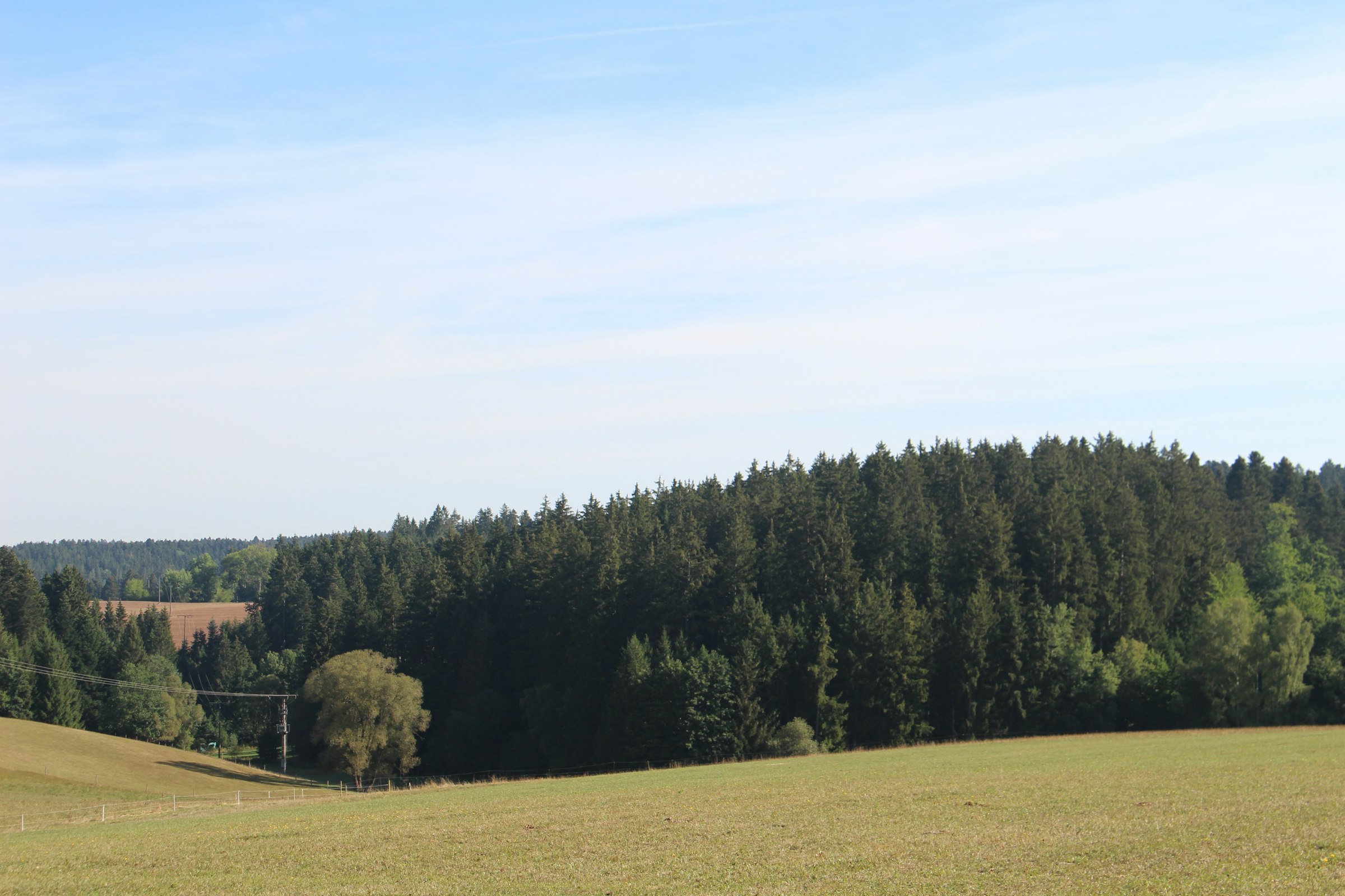 Landidylle bei der Brennerei photo 5