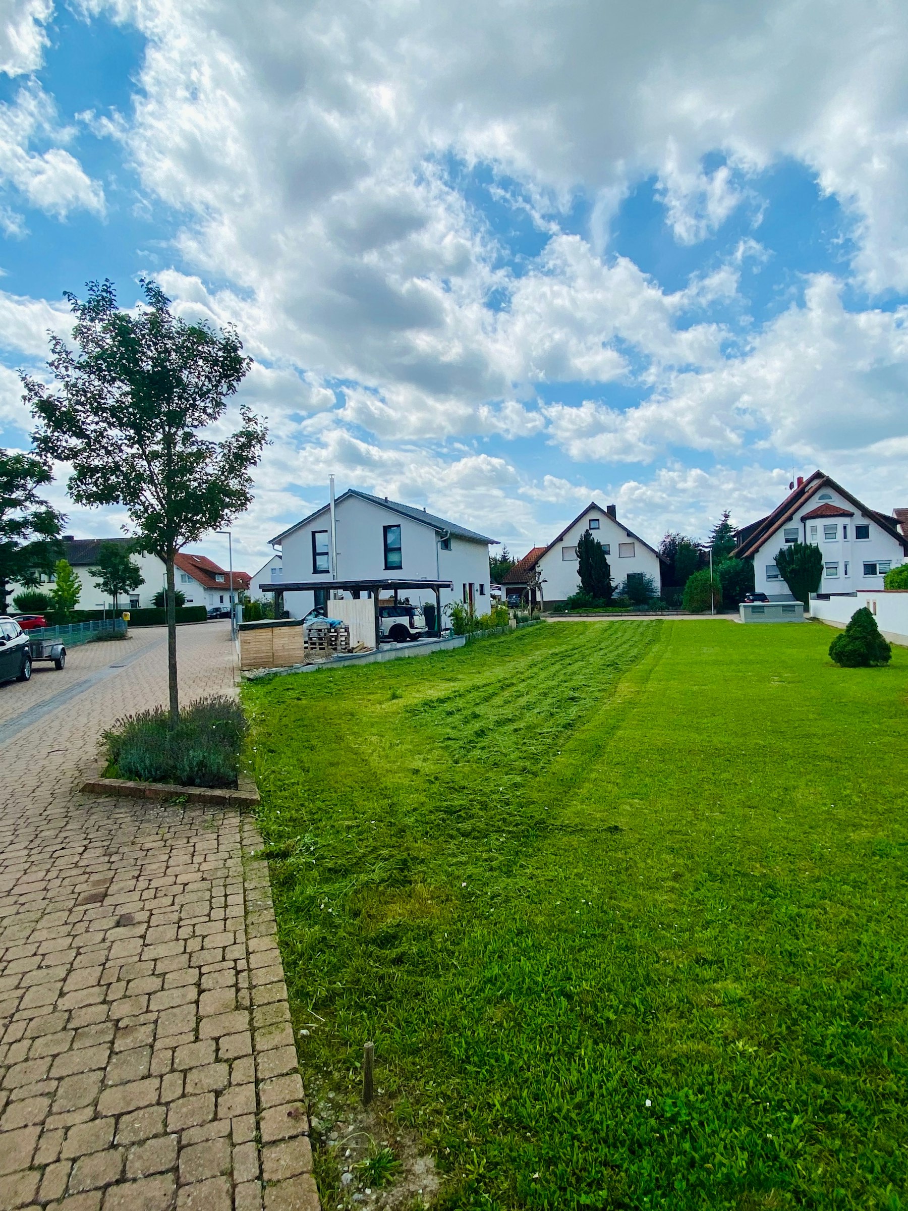 Zwischen Rhein und Reben photo 4