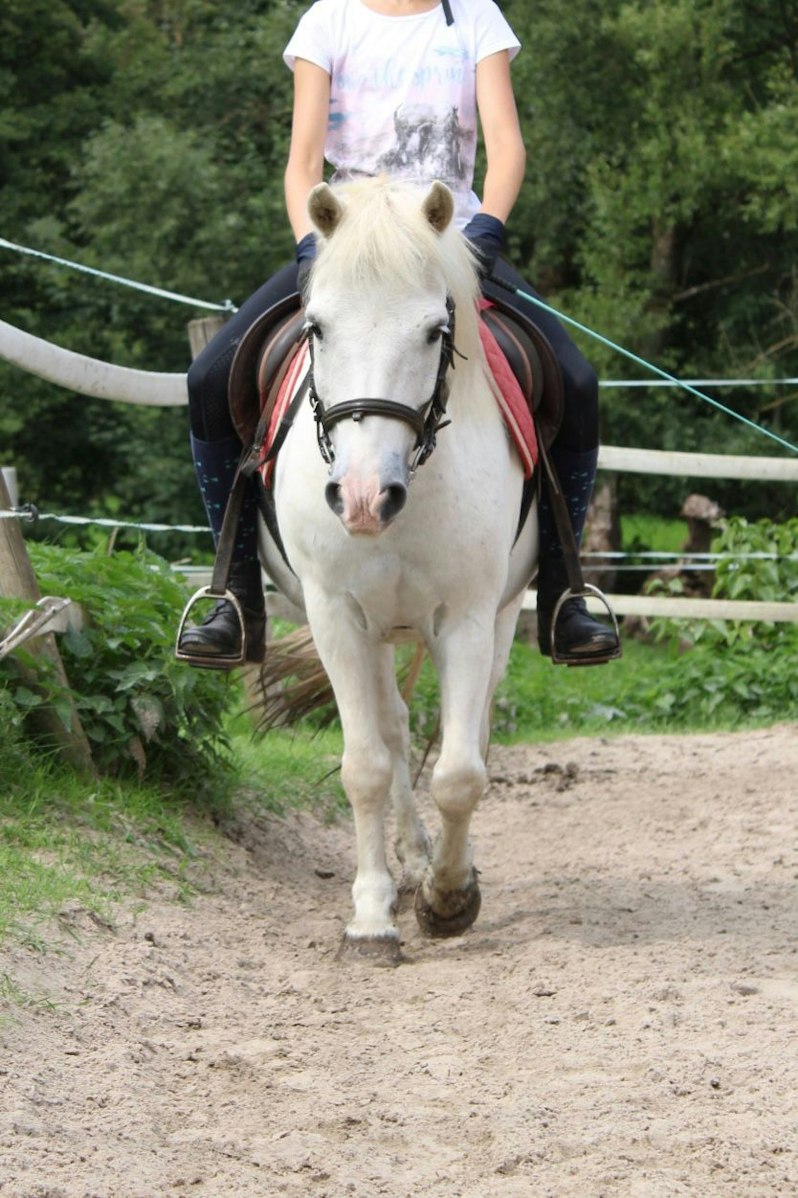 Stellplatz neben dem Hof photo 2