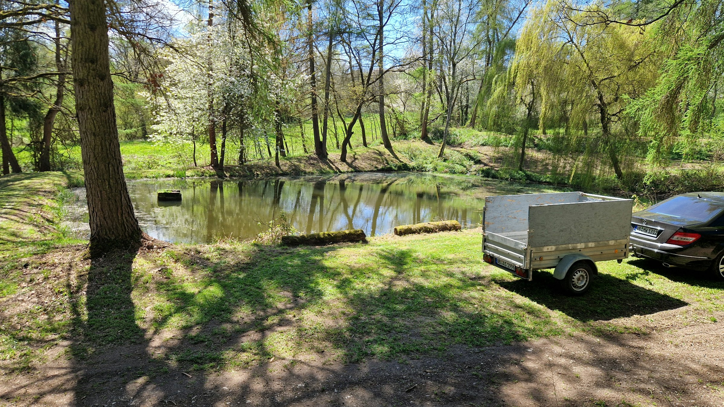 Teich im Wald, sehr ruhig 25000m2 photo 3