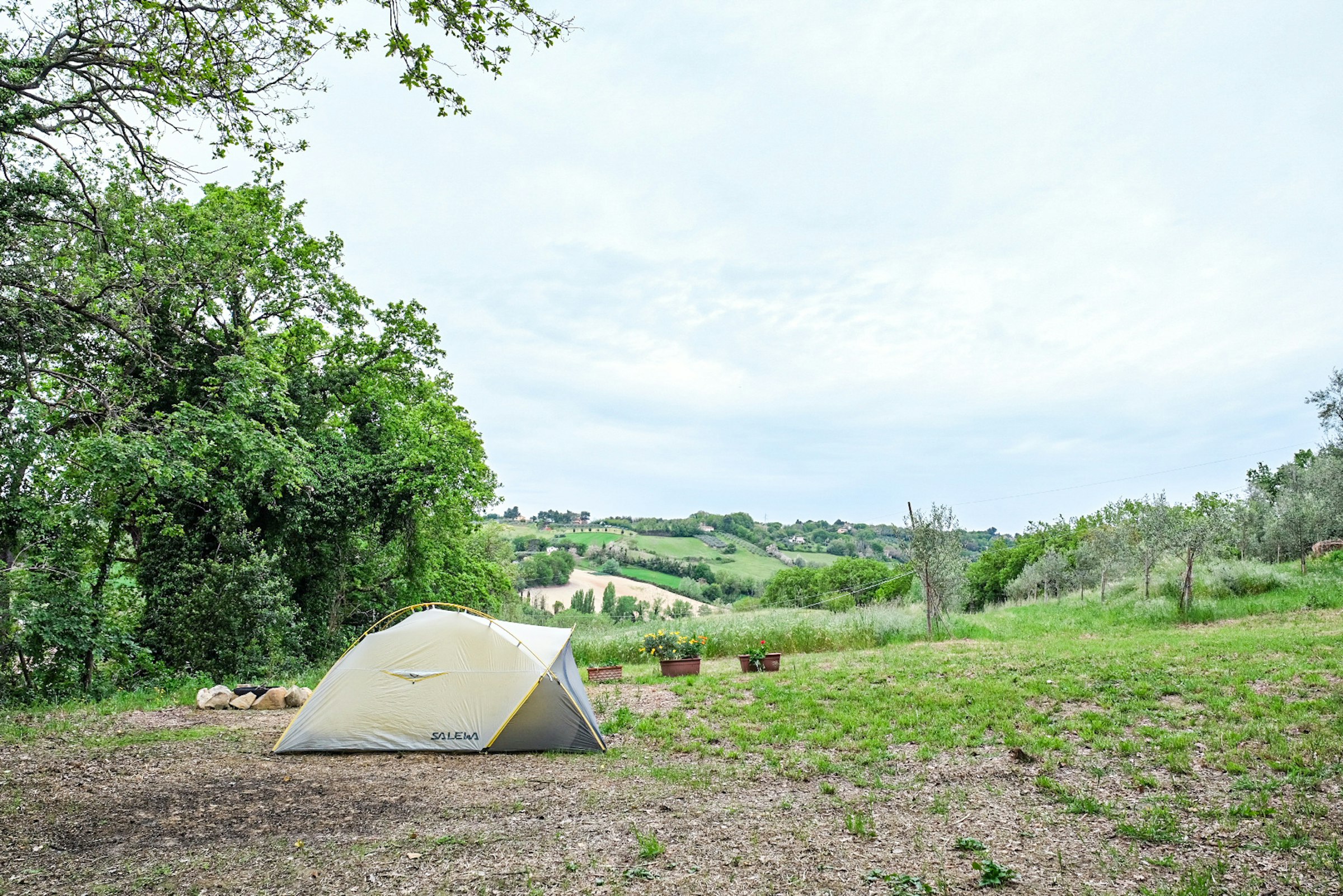 Camp gli Ulivi della Luca - Tenda photo 2