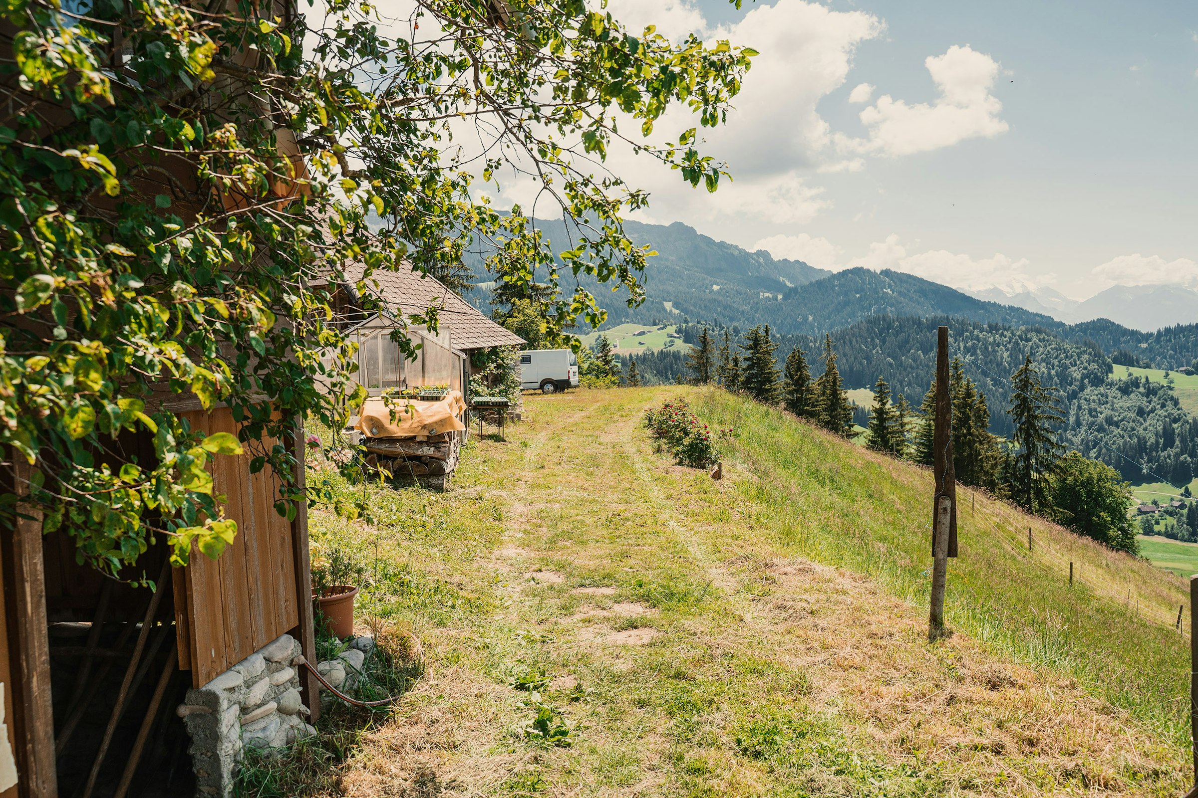 Auf dem Kräuterhof photo 4