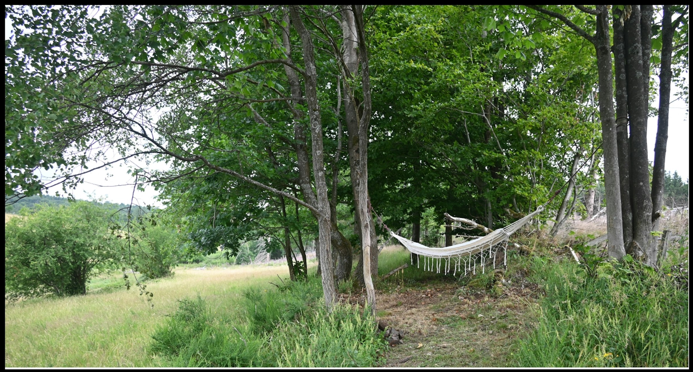 Trapperhütte „Demian“ am Teich photo 4