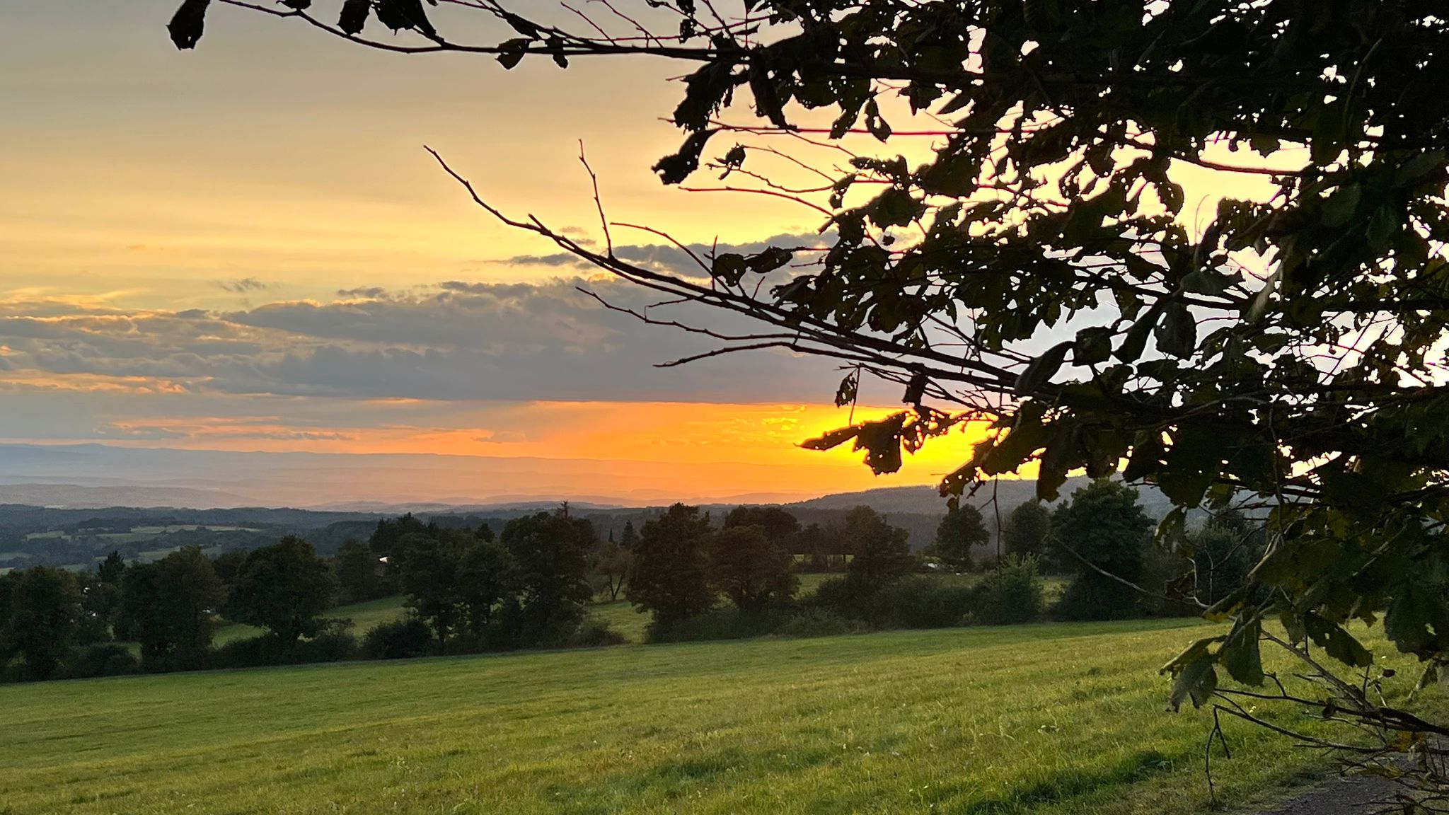 Tiny mit Blick in die Natur photo 4