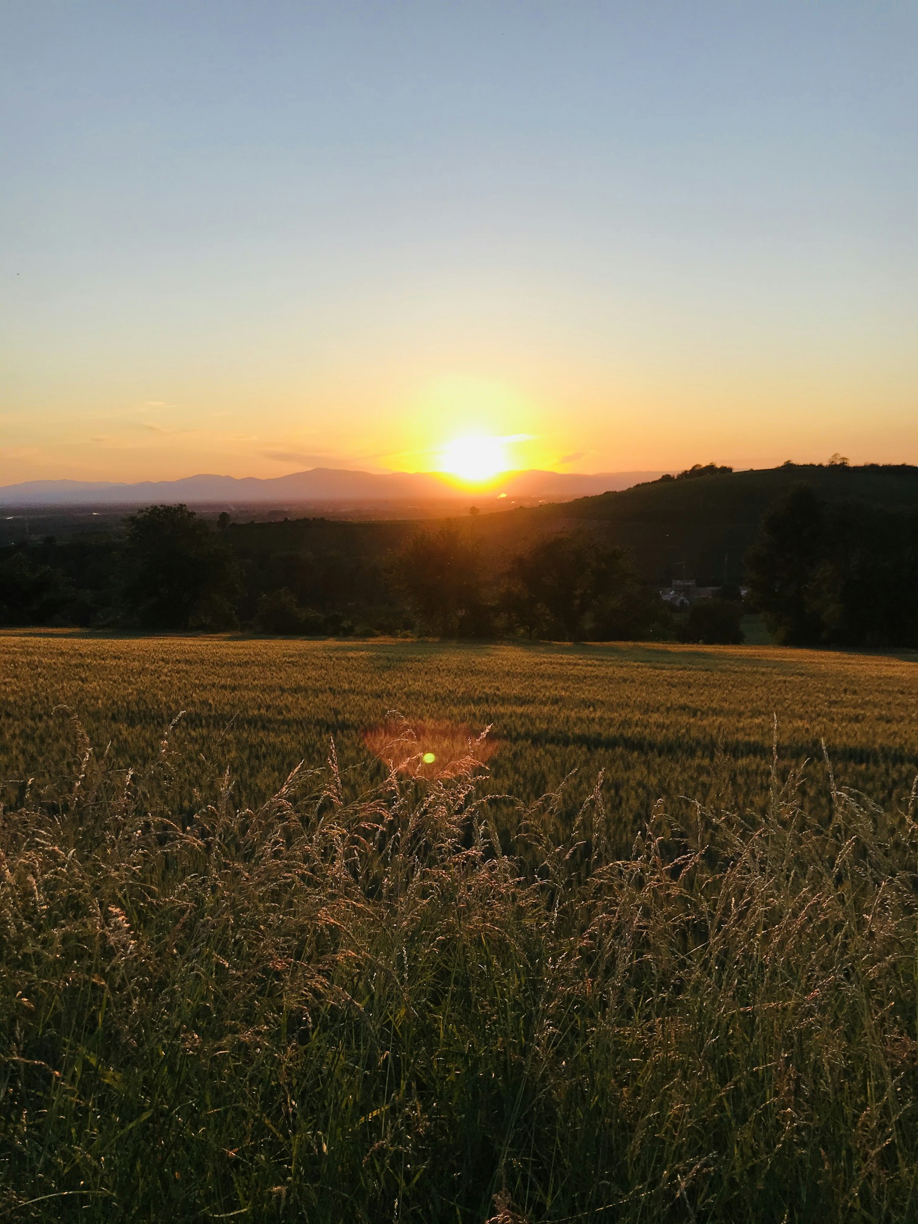 Stellplatz Himmelreich photo 4