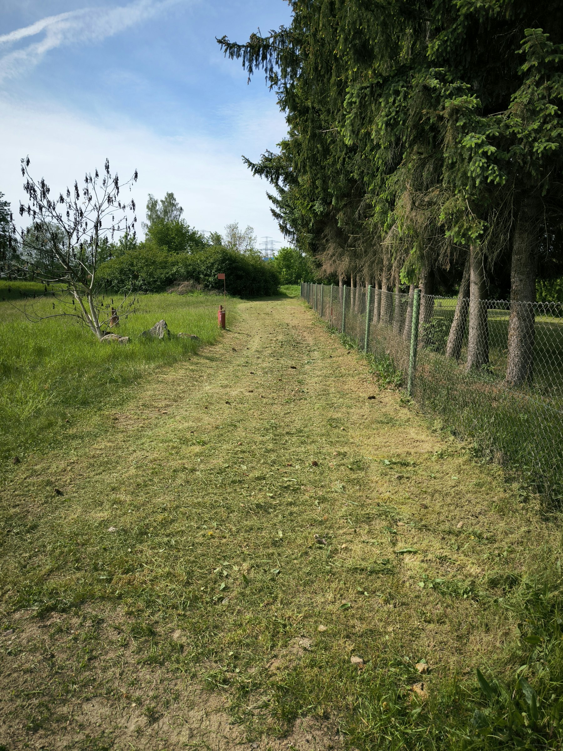 Camping am Berzdorfer See photo 4