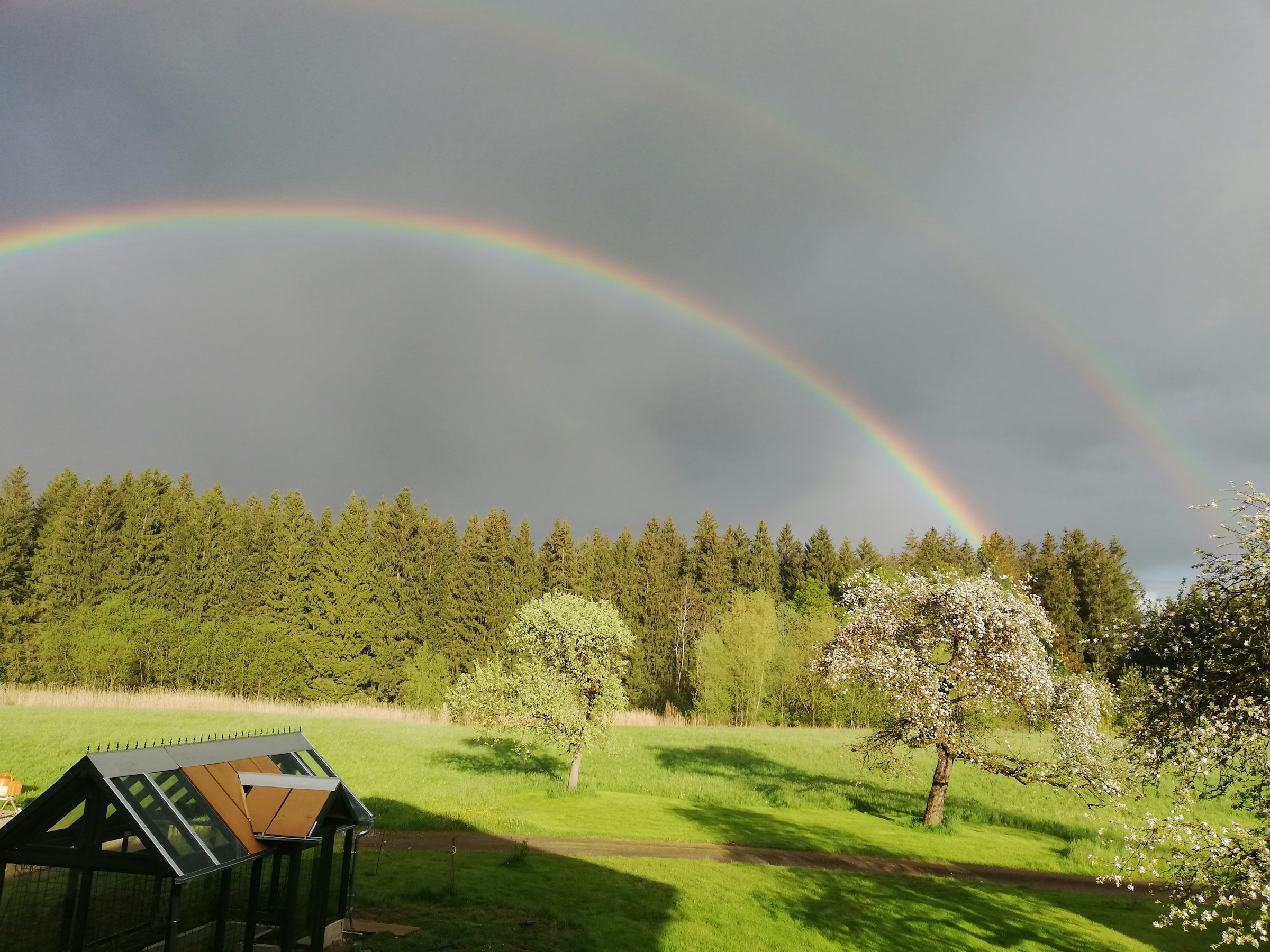 zwischen Obstbäumen mit Waldblick photo 2