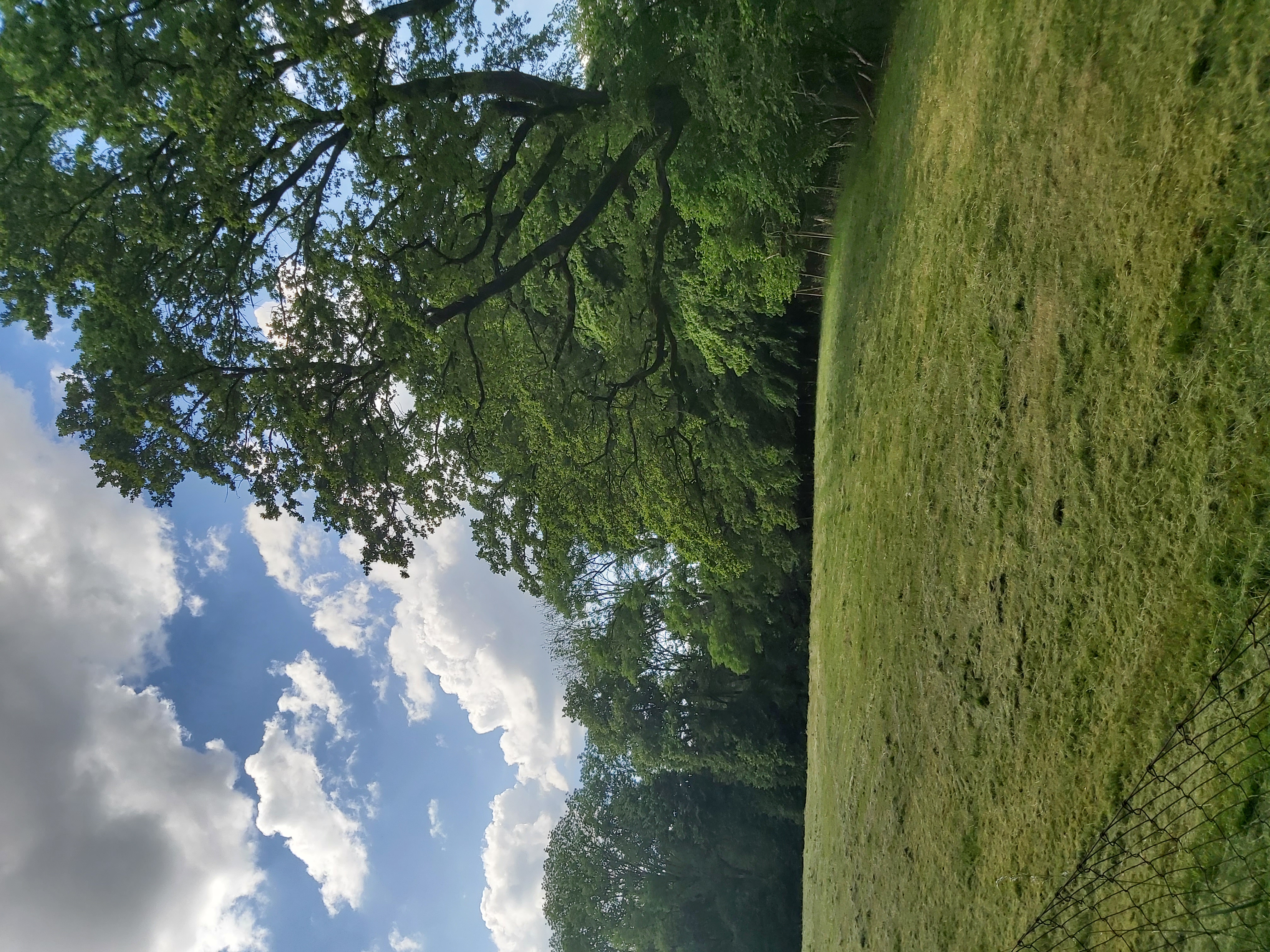 Mitten in der Natur zwischen Bodensee und Allgäu photo 2