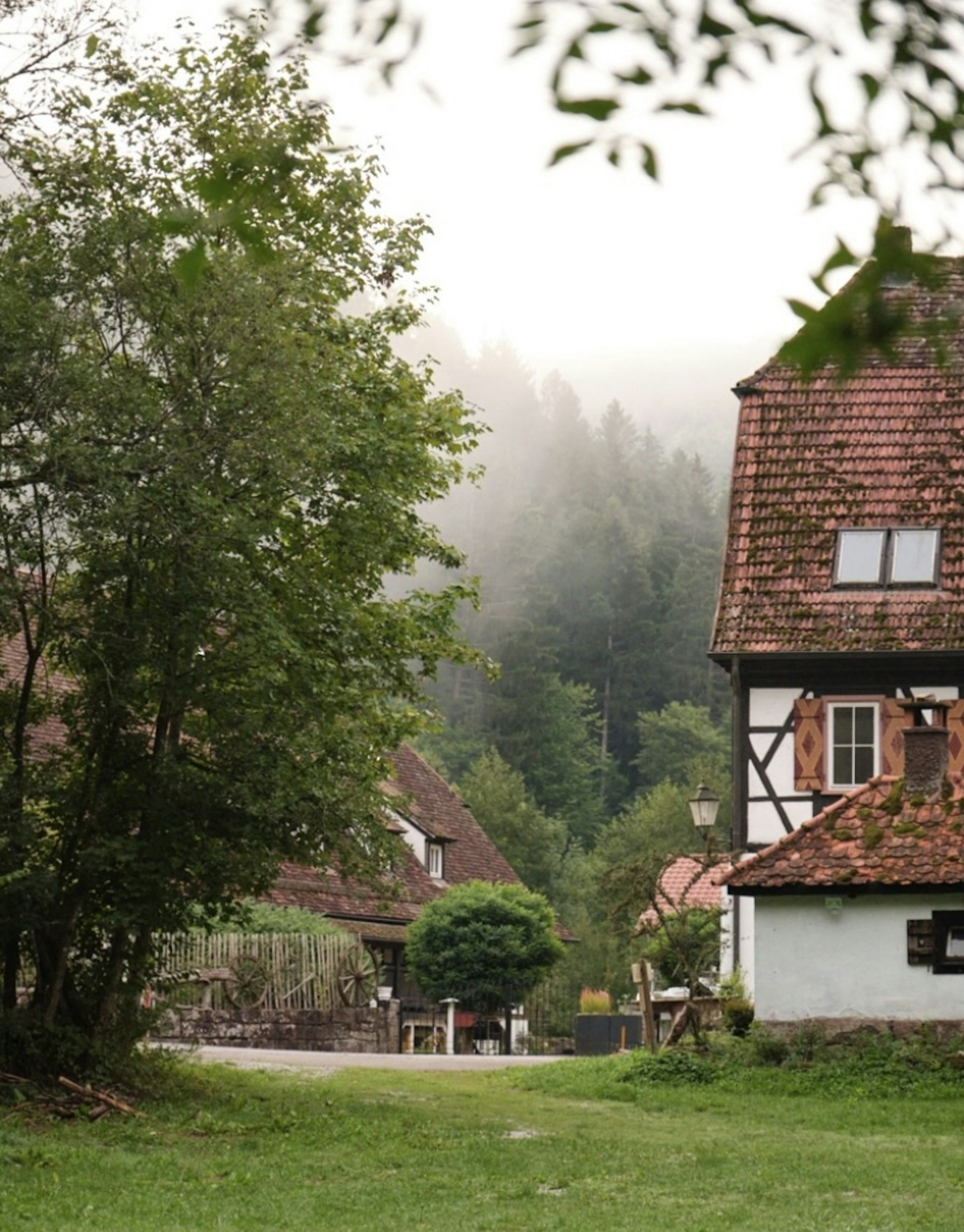 Übernachtung historisches Nagoldtal photo 5