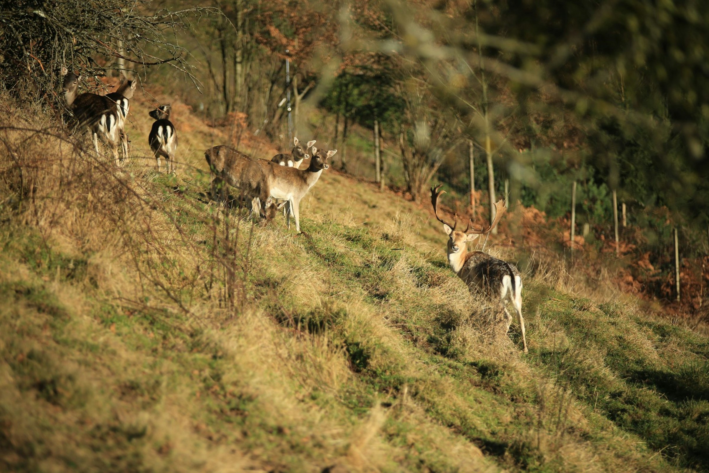 Schlafen im Heu photo 5