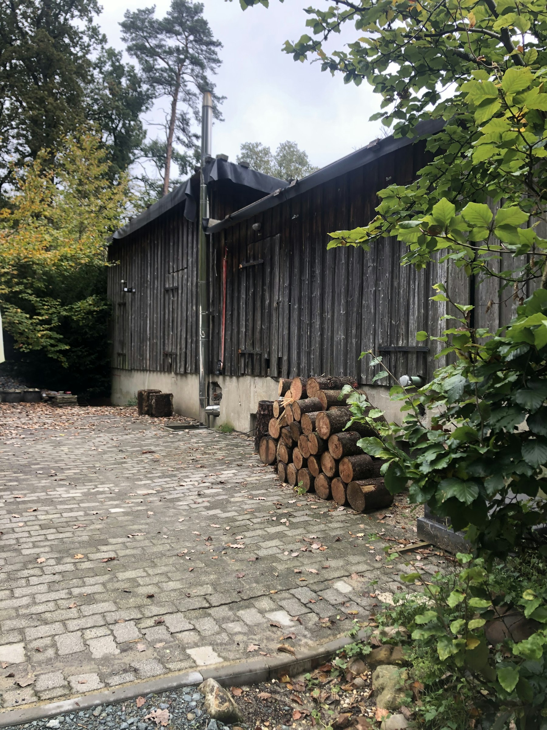 Haus Quelle Hinterhof im Taunuswald photo 5