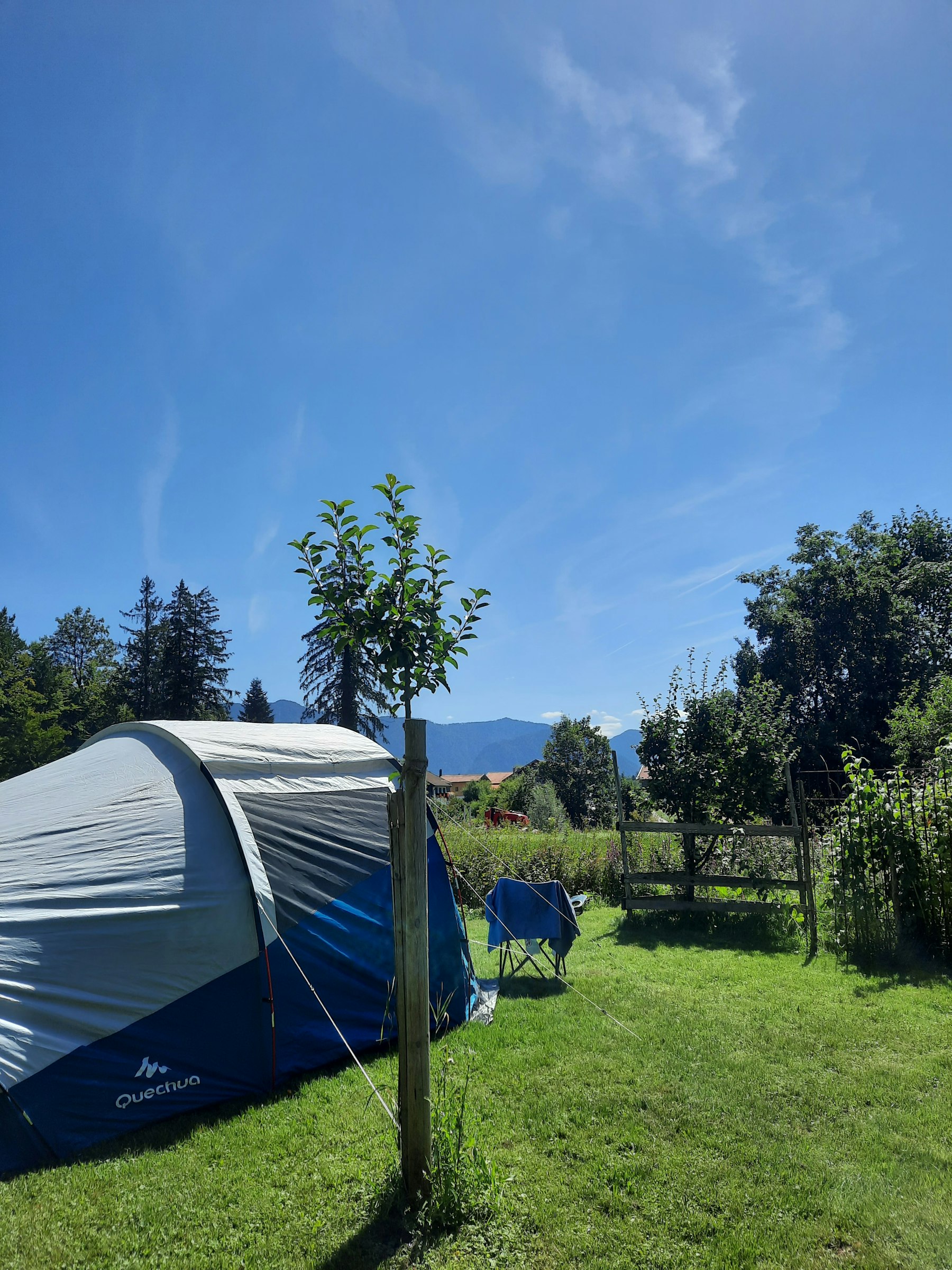 Apfelsacherl photo 5