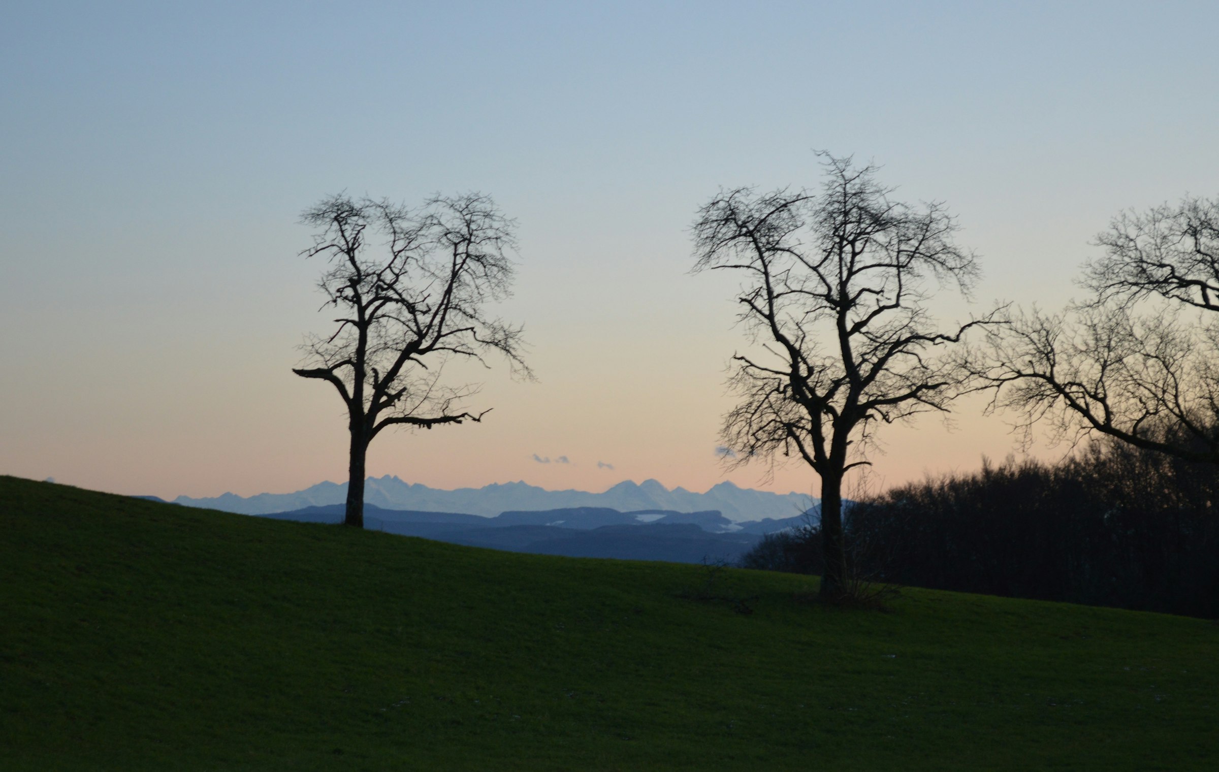 Möhrenblick photo 2