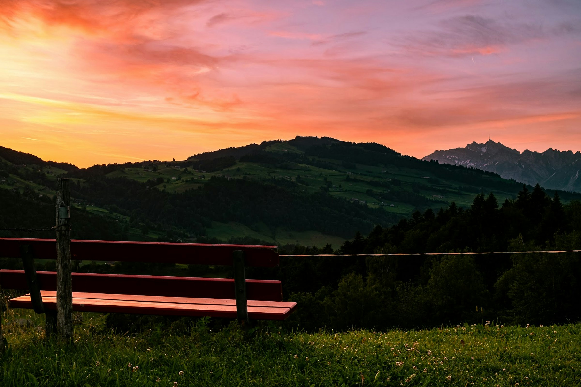 Hof-Liebe photo 5