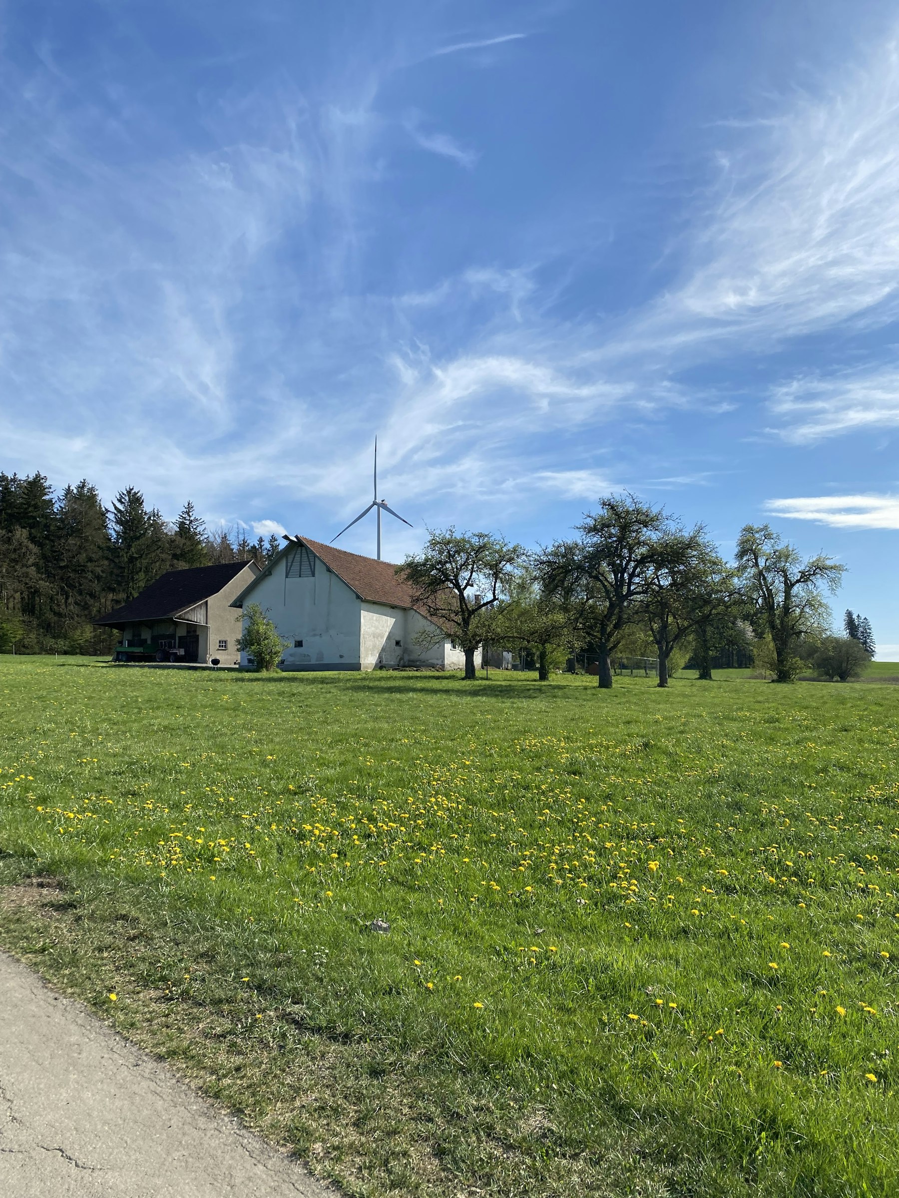 Wiese, Wald, Weitblick – Natur pur! photo 5