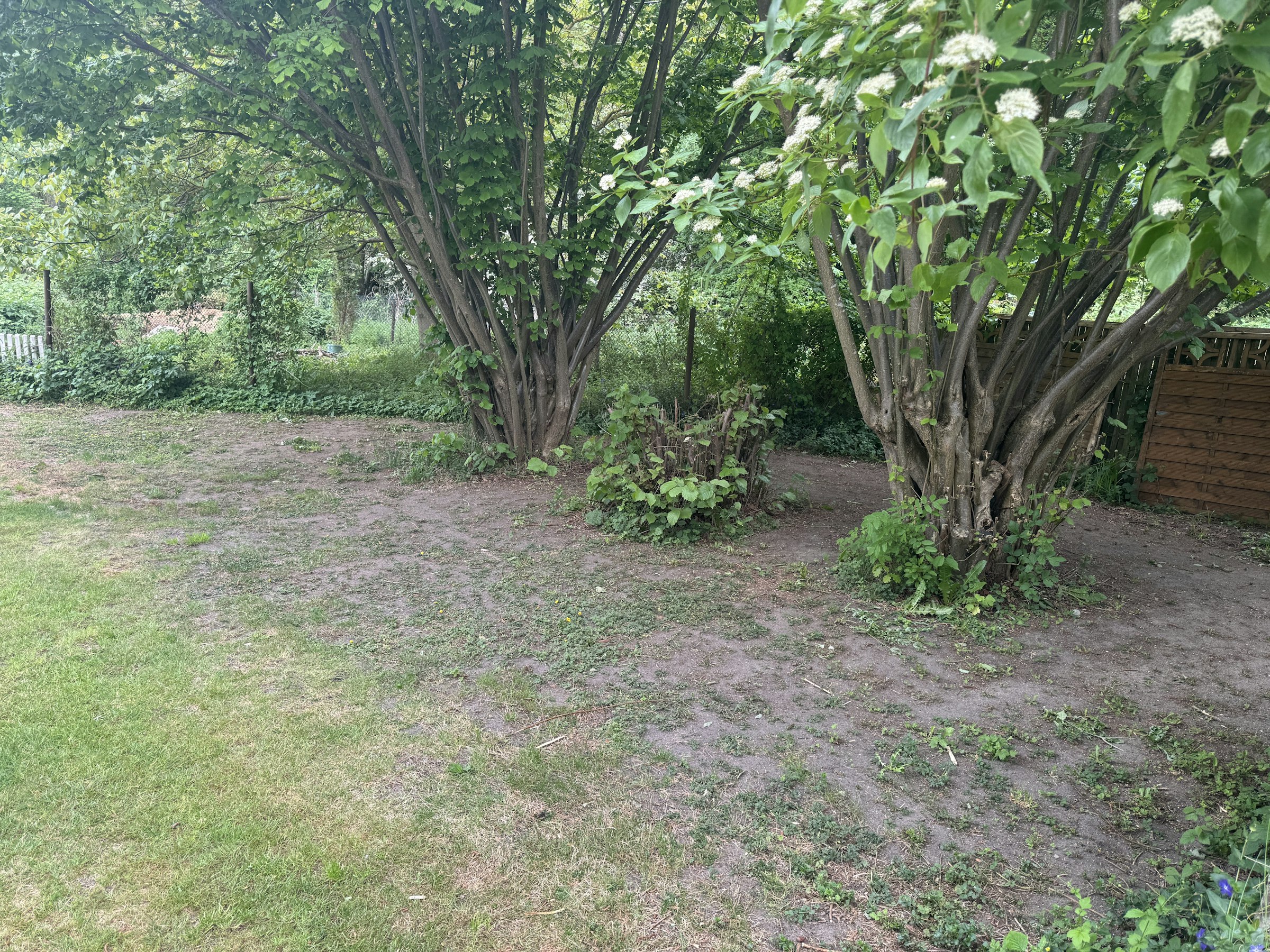 Garten auf dem Gnitz/Usedom photo 3