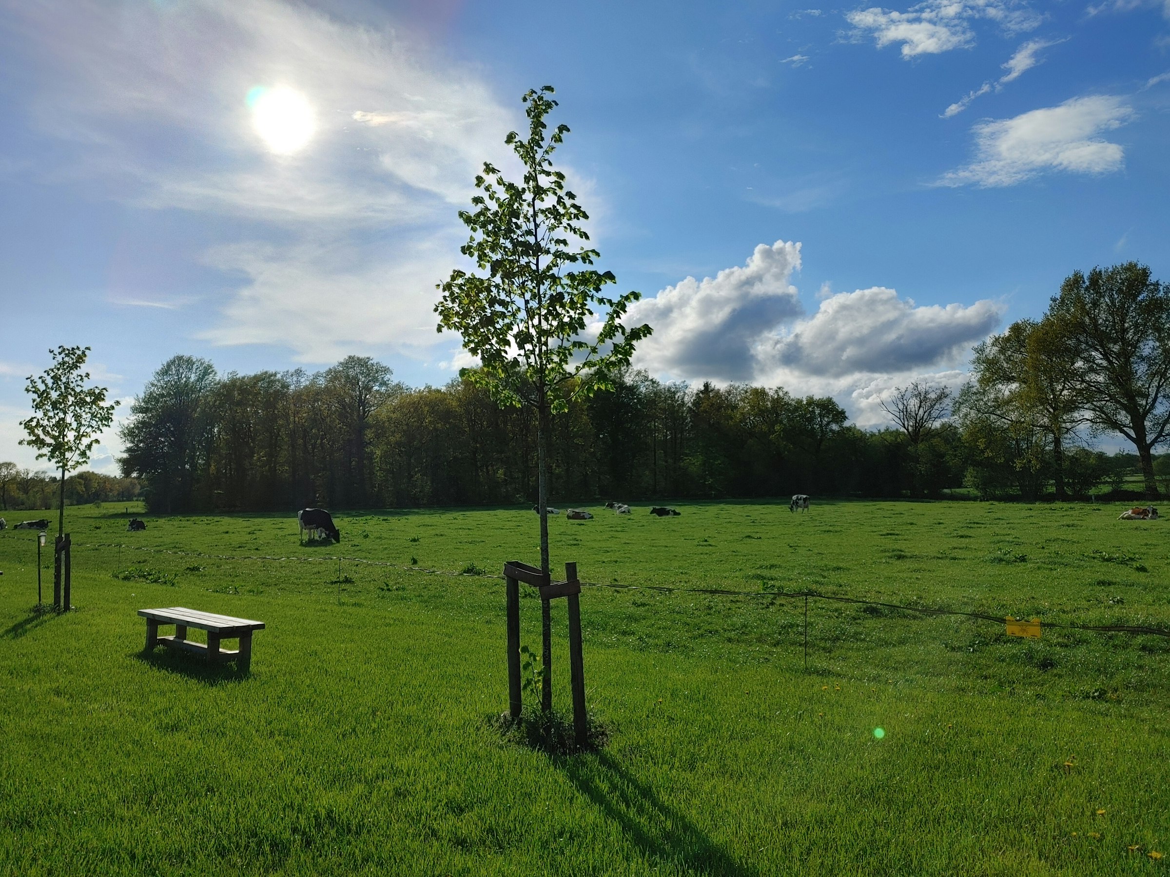 Auszeit im Wichtelgarten photo 2