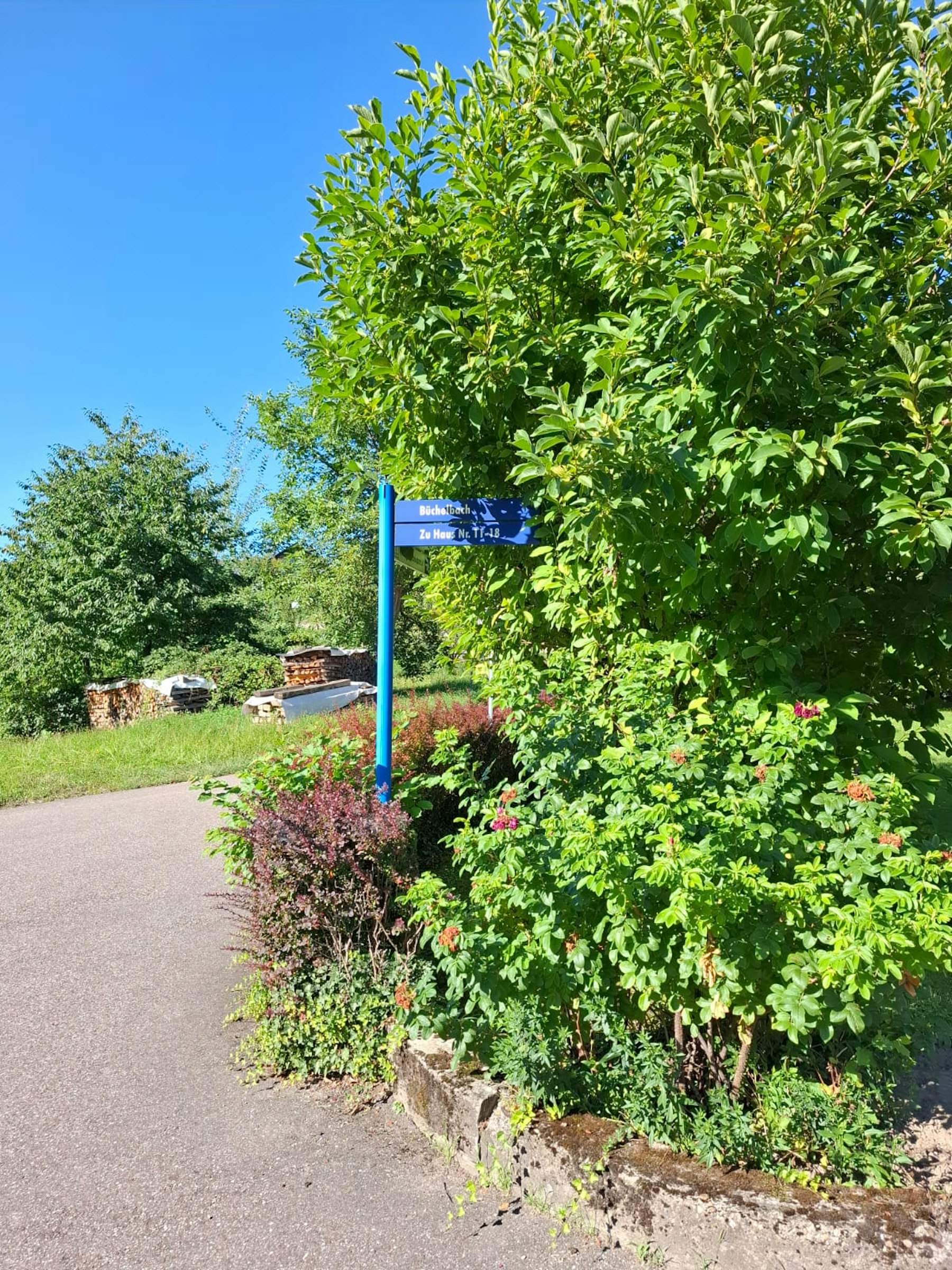 Idyllisch Entschleunigen im Zelt🏕️ photo 4