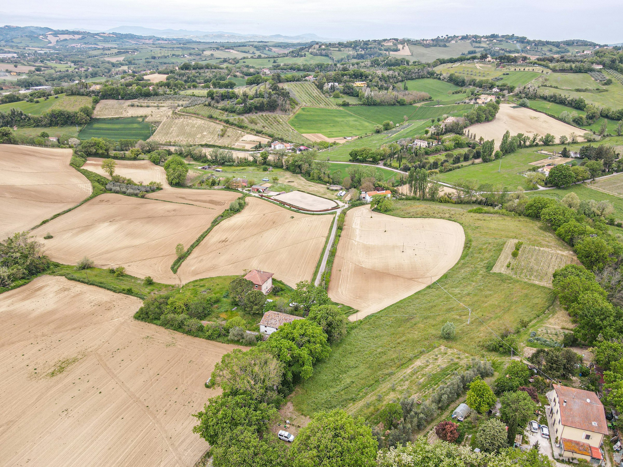 Camp gli Ulivi della Luca - Tenda photo 4