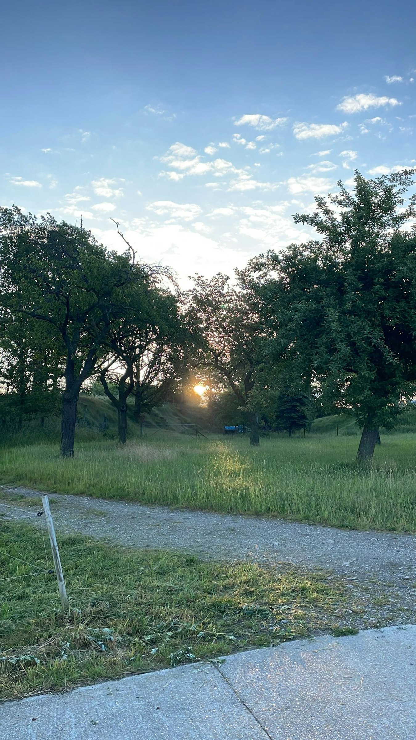 Streuobstwiese, Ehemalige Sandgrube photo 2